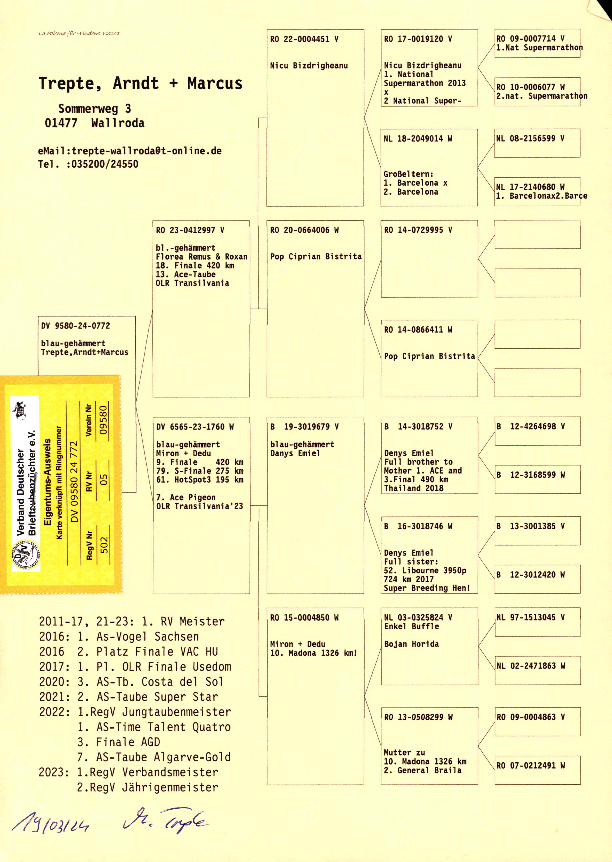 Pigeon pedigree image