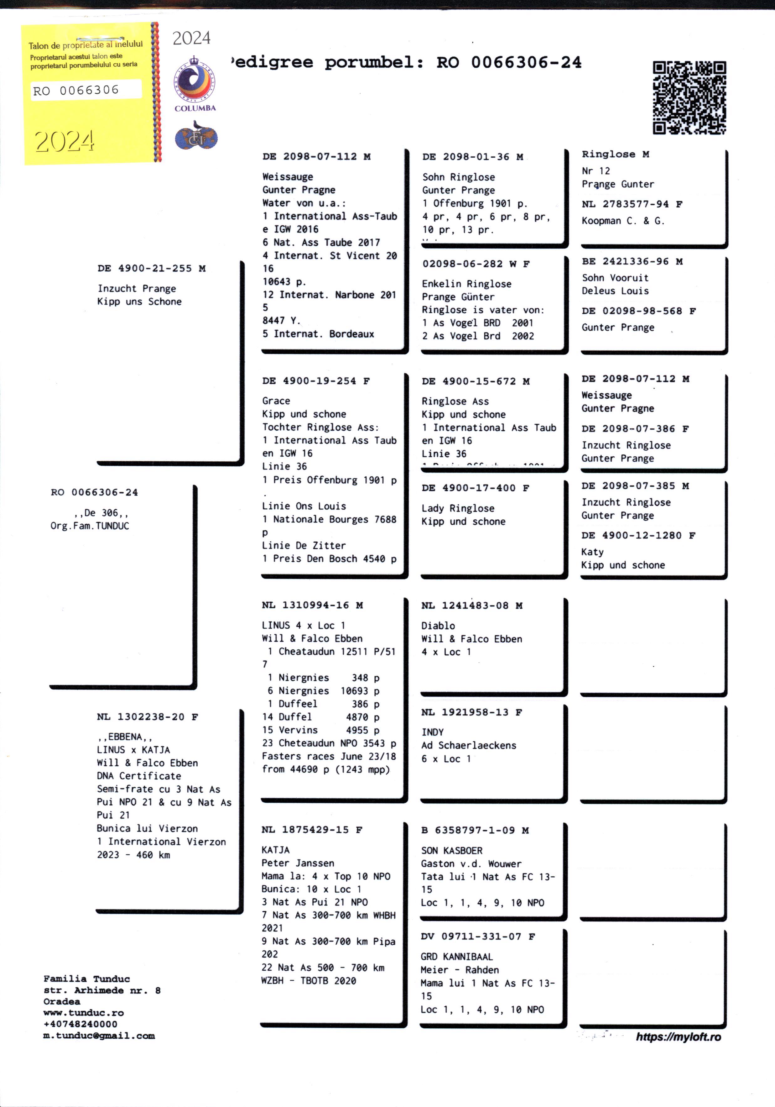 Pigeon pedigree image