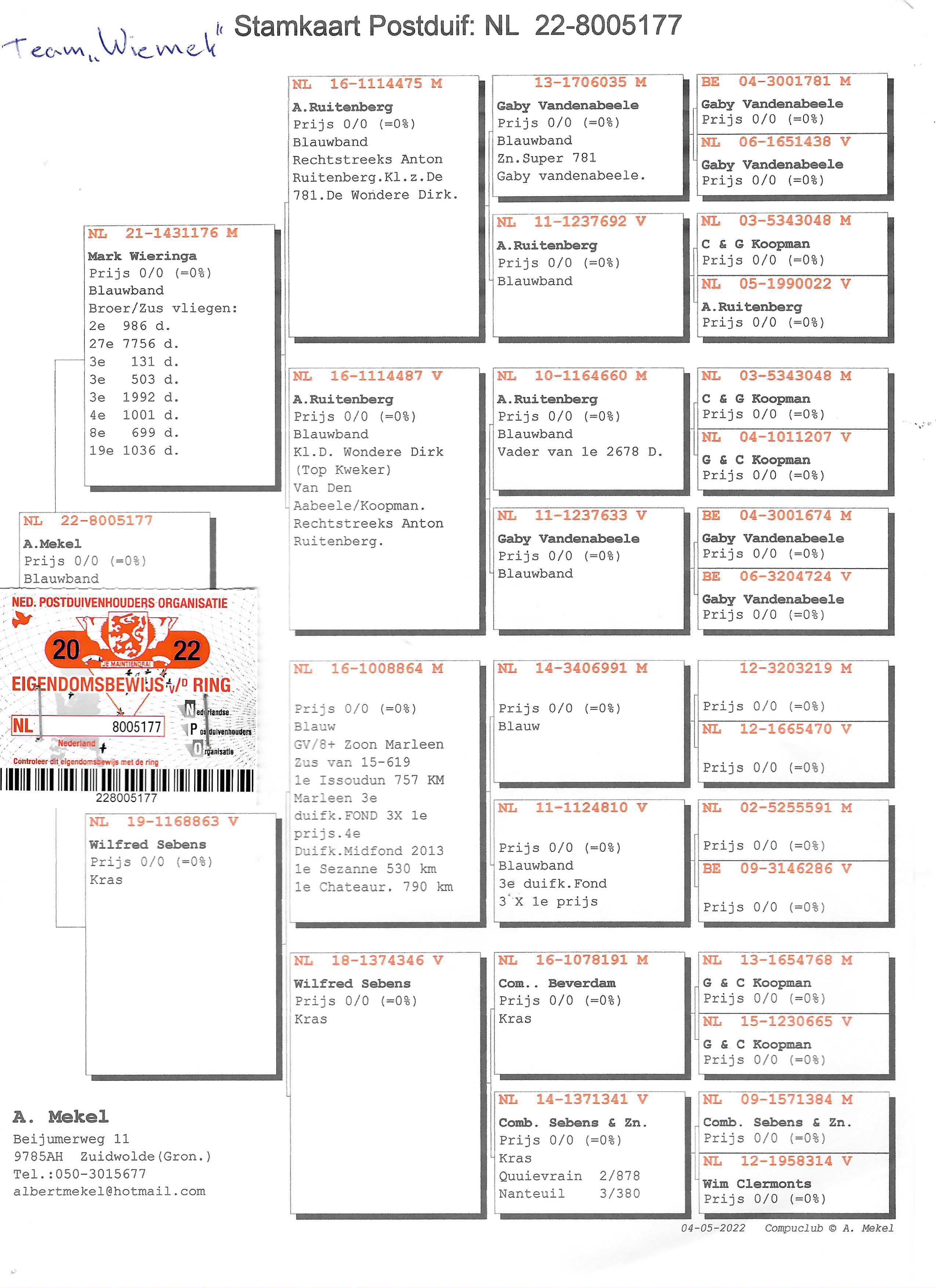 Pigeon pedigree image