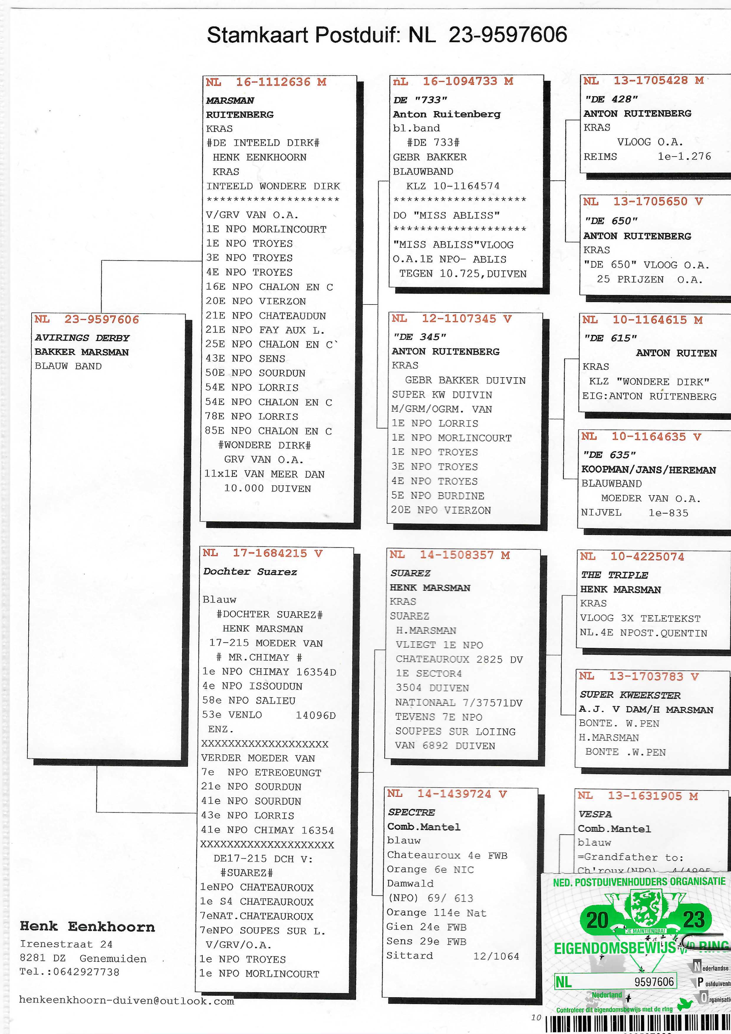 Pigeon pedigree image