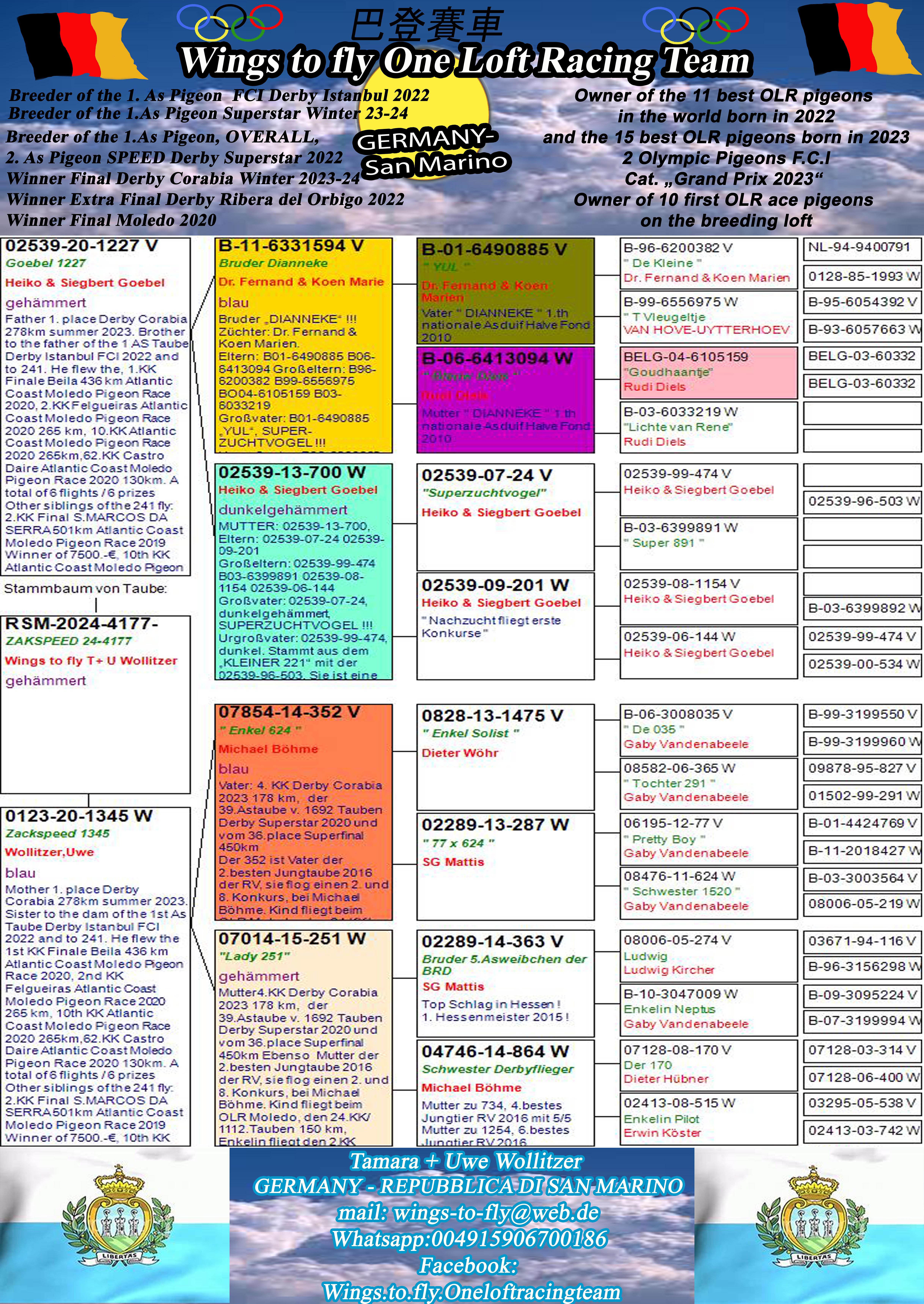 Pigeon pedigree image