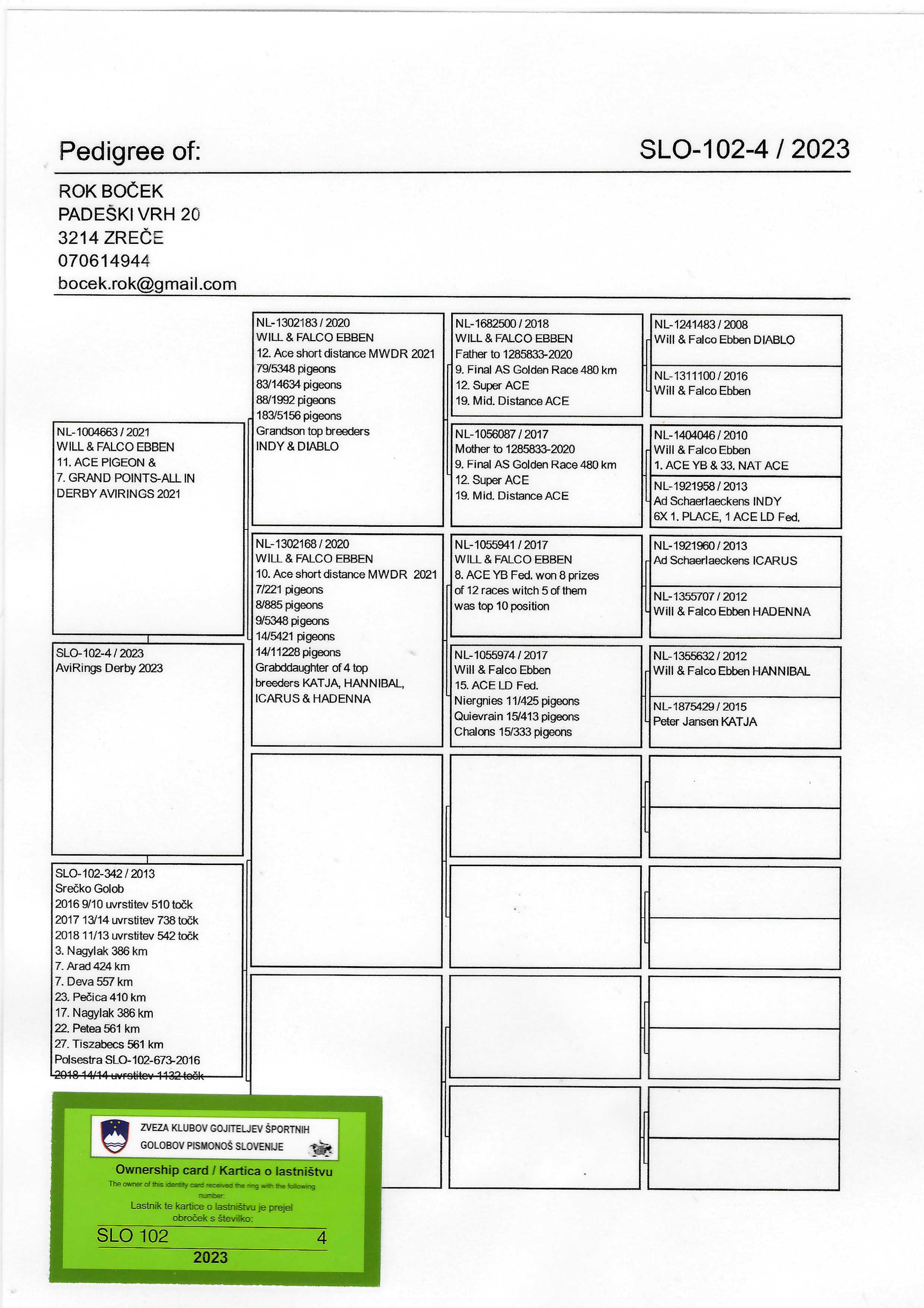 Pigeon pedigree image