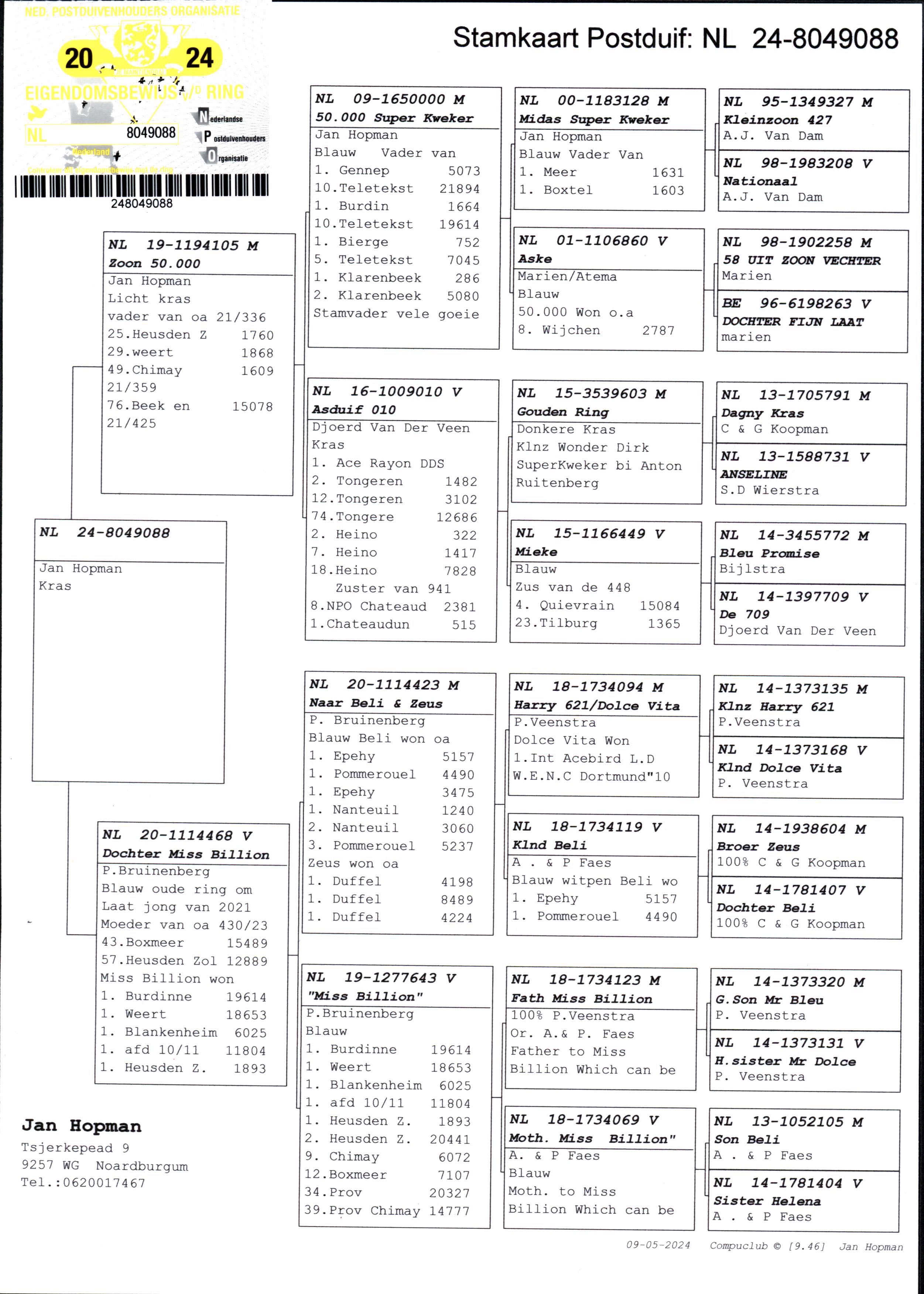Pigeon pedigree image