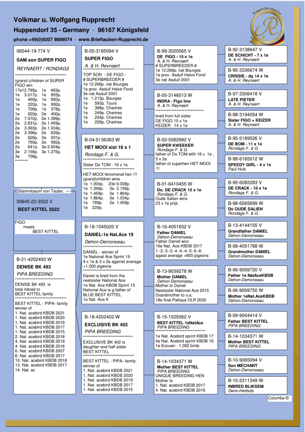 Pigeon pedigree image