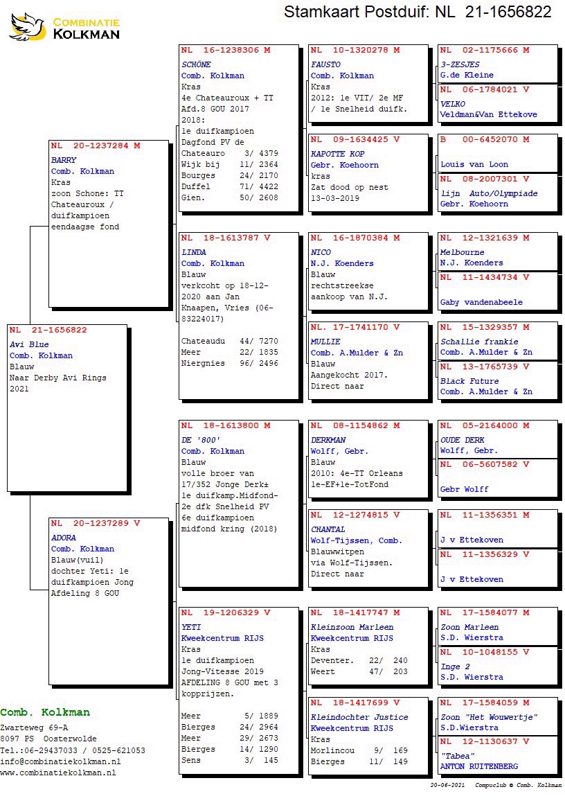 Pigeon pedigree image