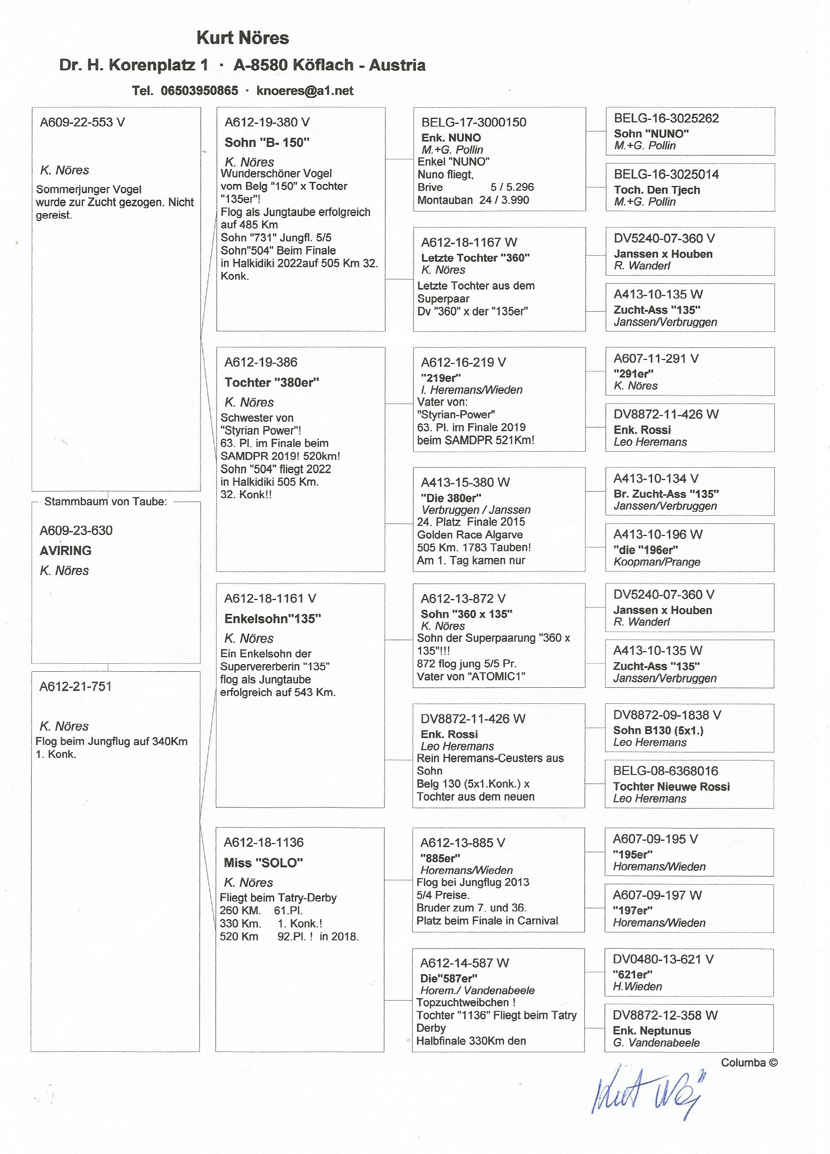 Pigeon pedigree image