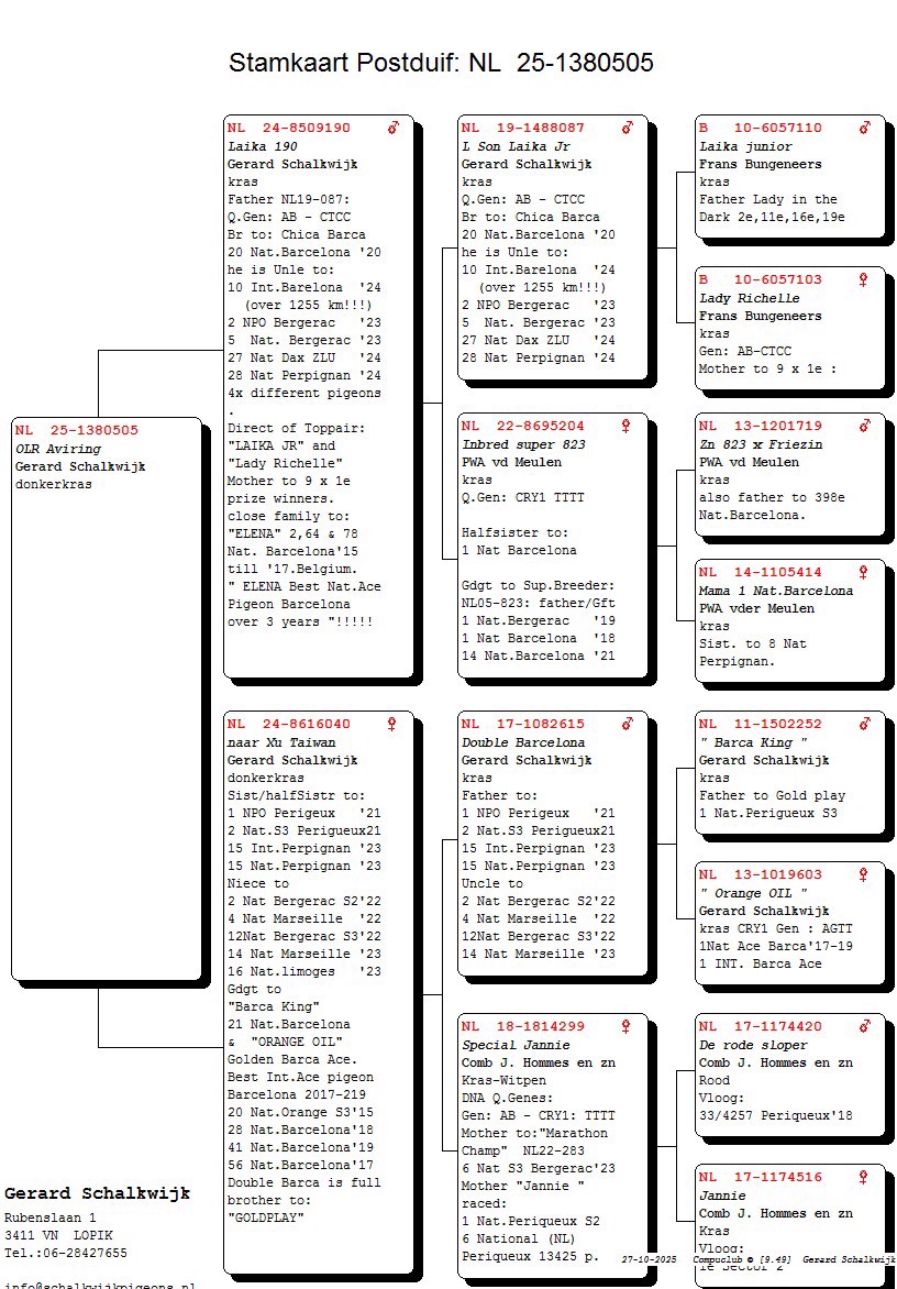 Pigeon pedigree image