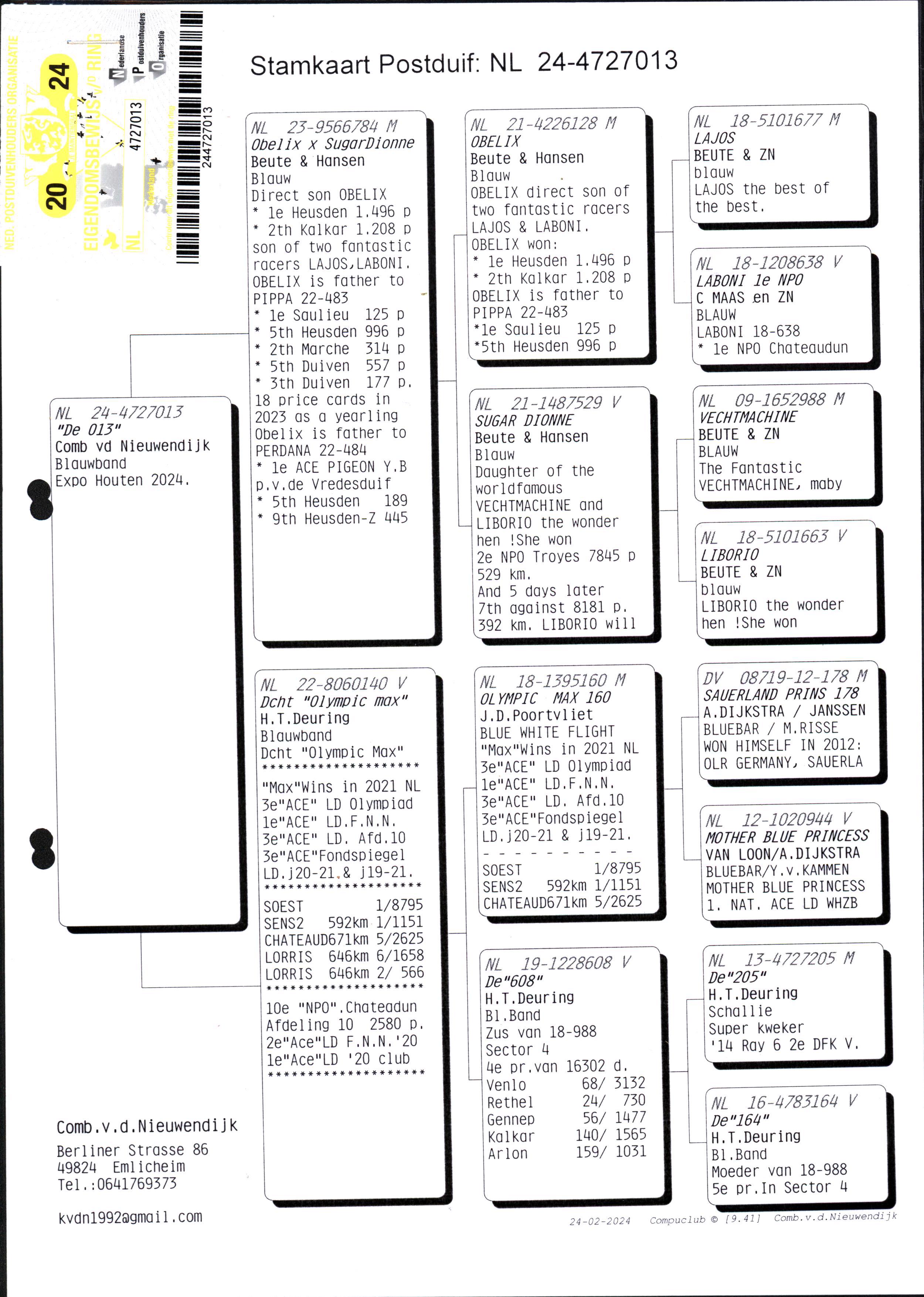 Pigeon pedigree image