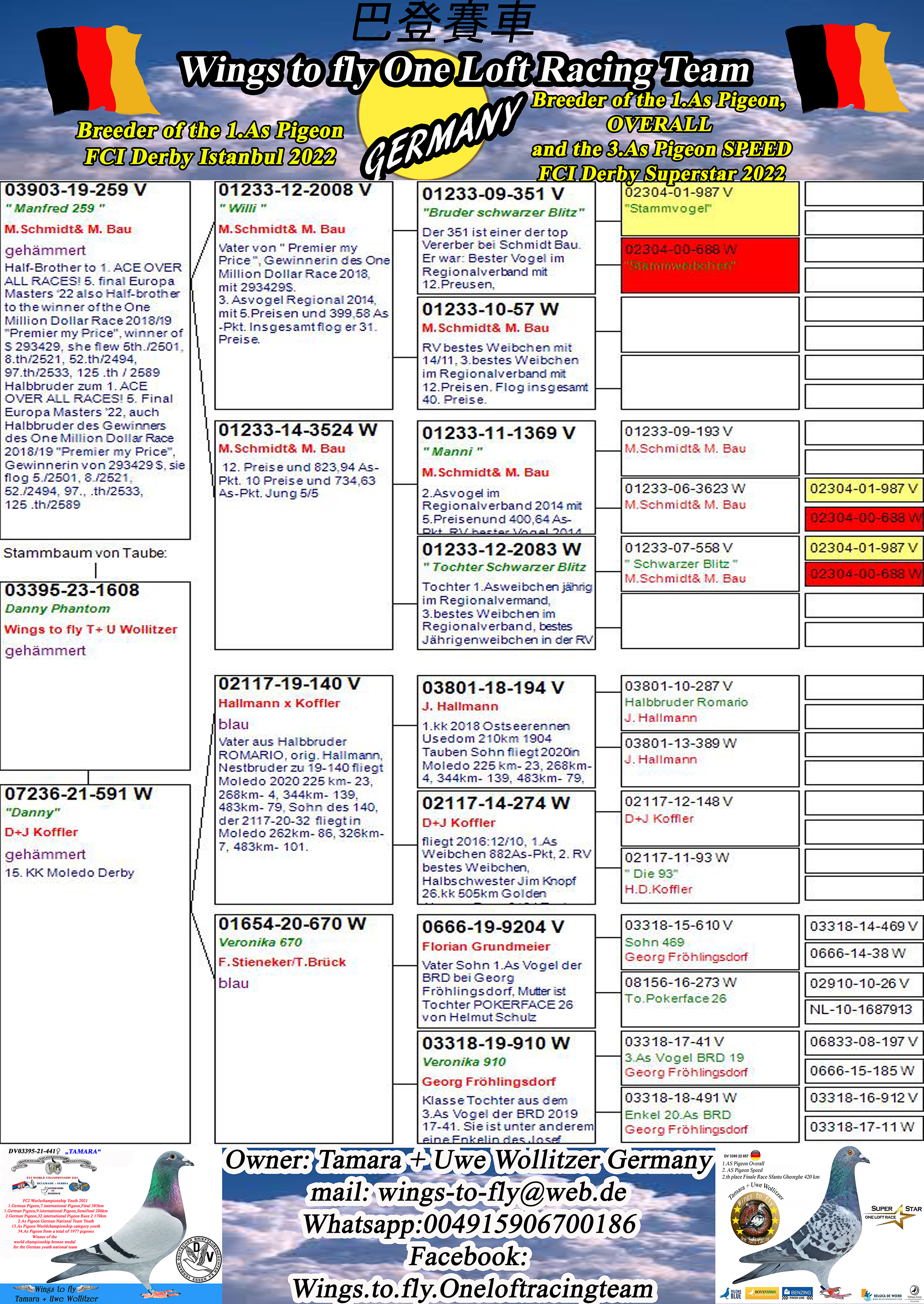 Pigeon pedigree image