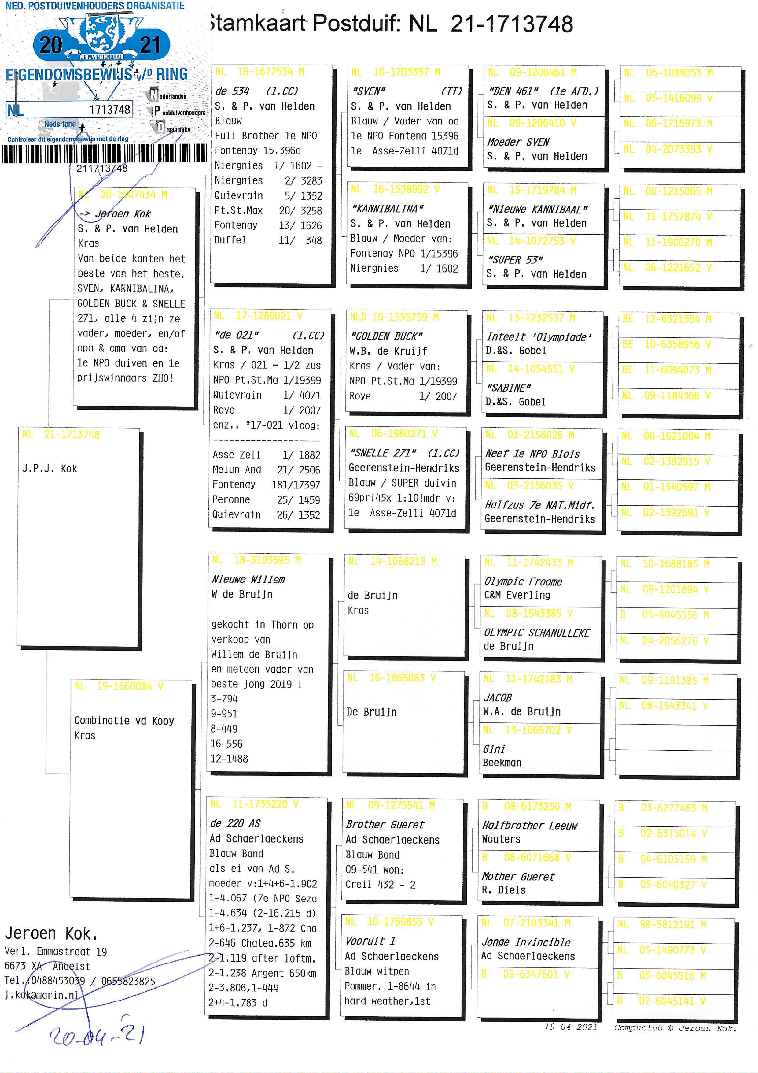 Pigeon pedigree image