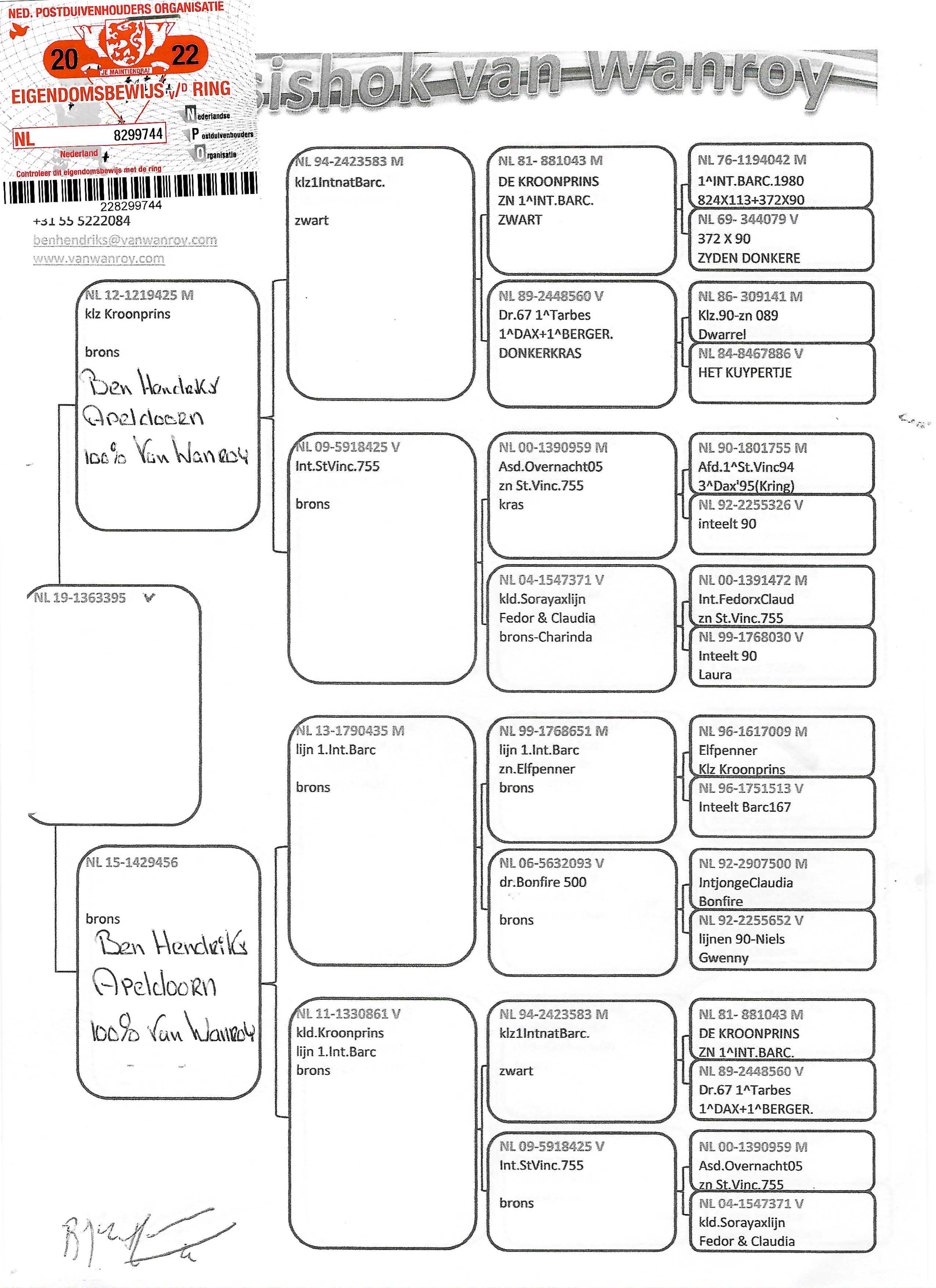 Pigeon pedigree image