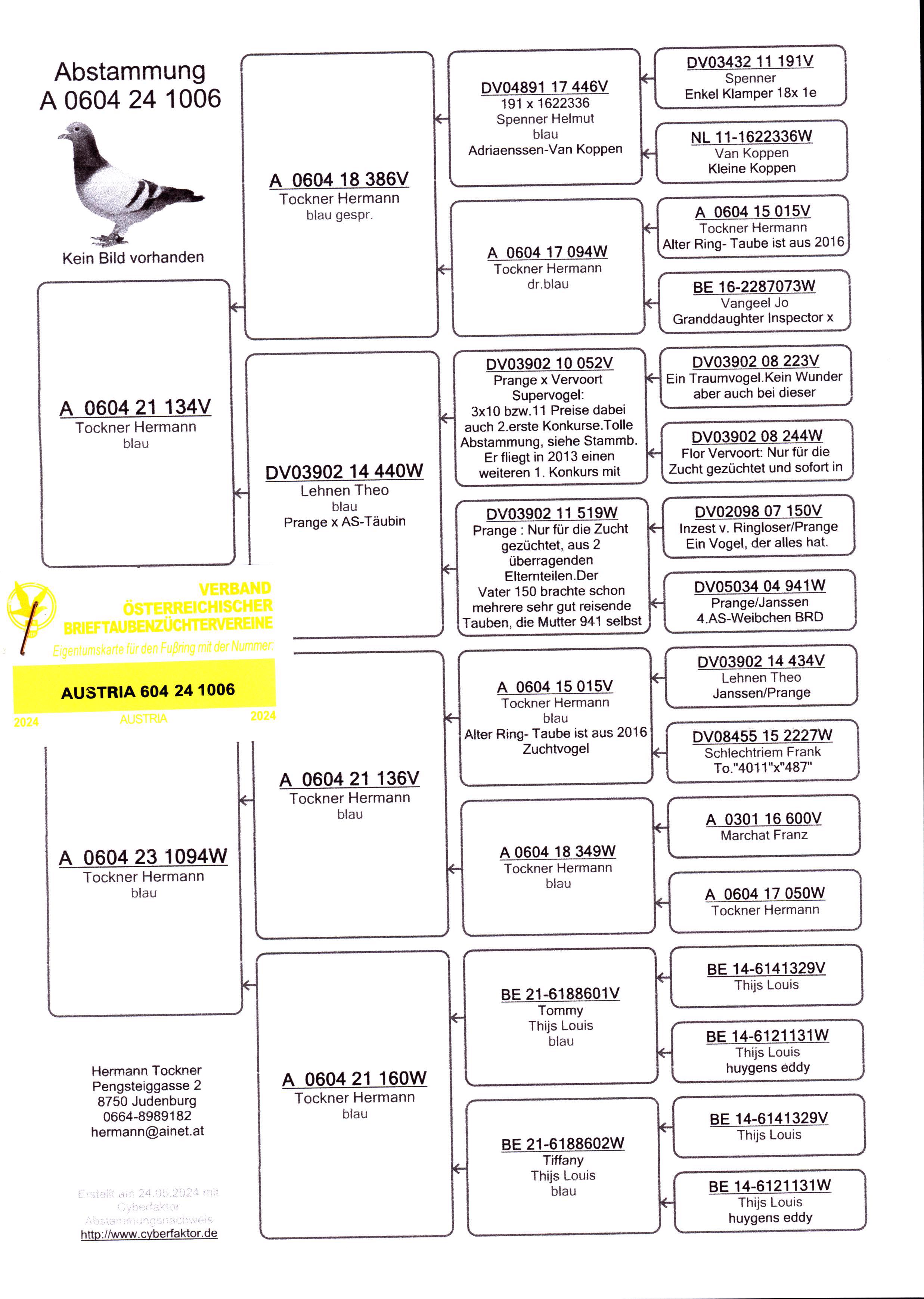 Pigeon pedigree image