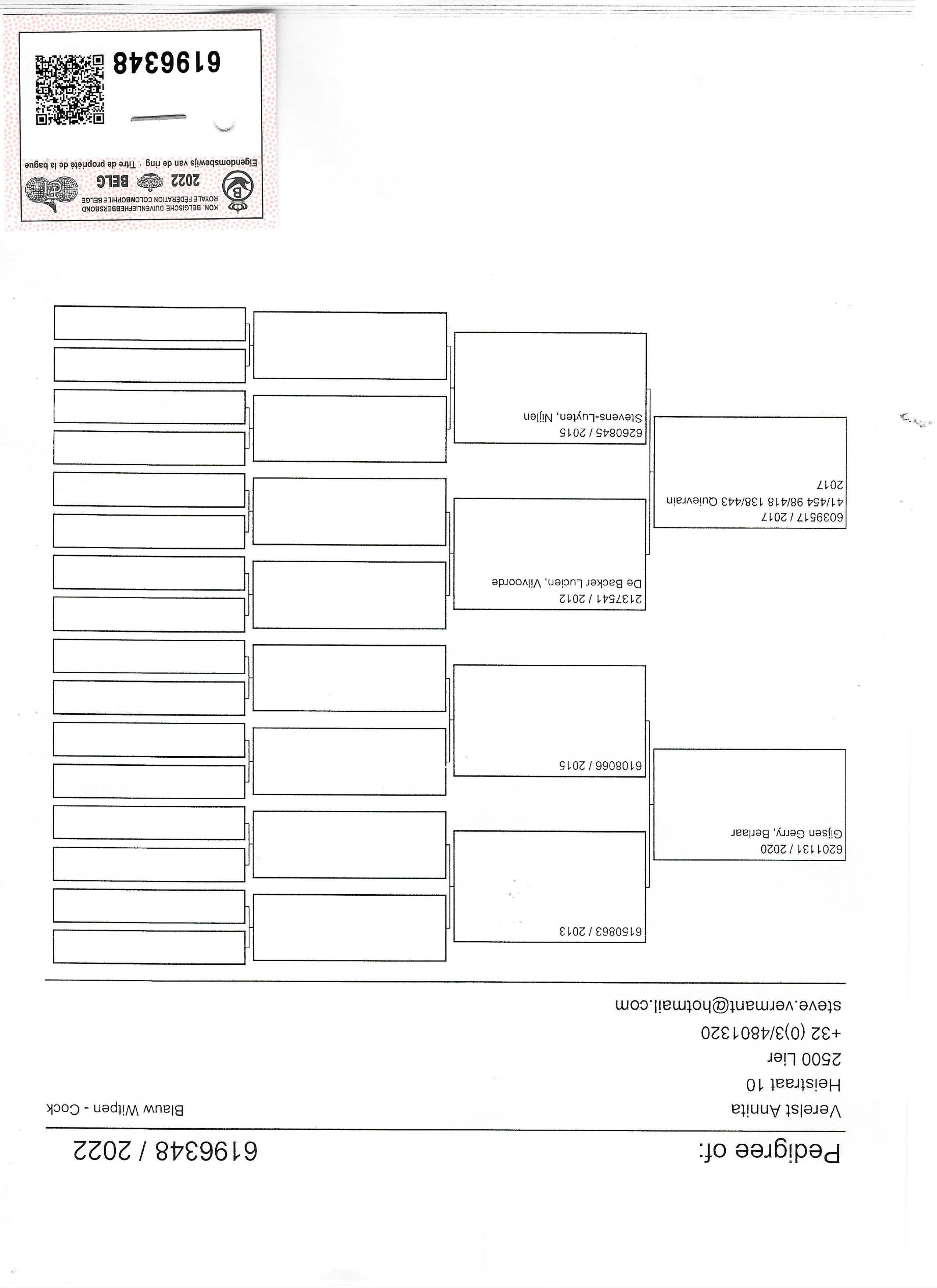 Pigeon pedigree image