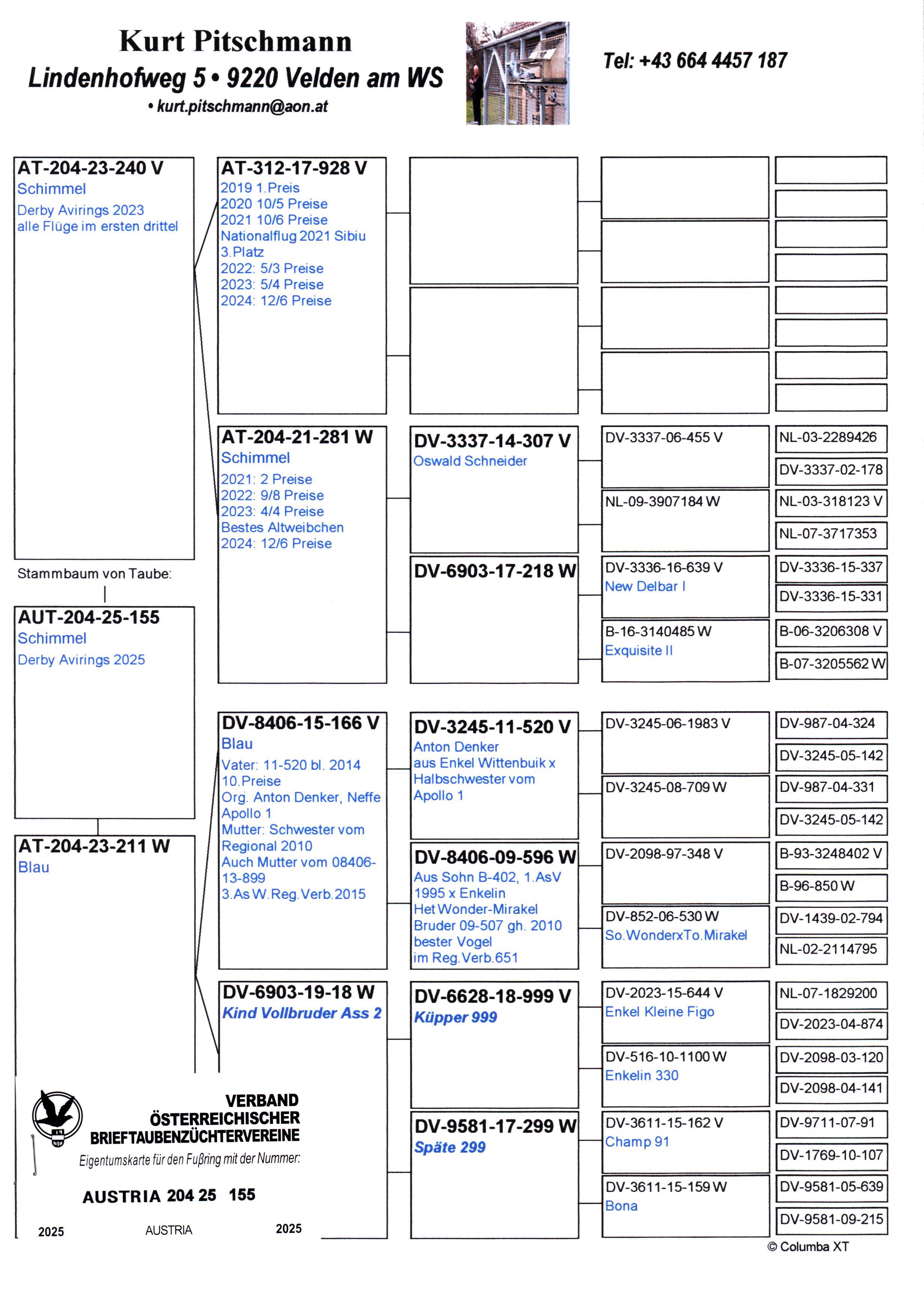 Pigeon pedigree image