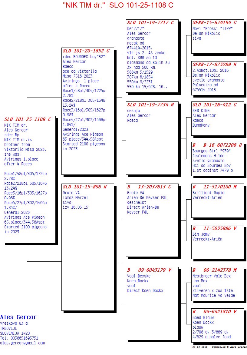 Pigeon pedigree image
