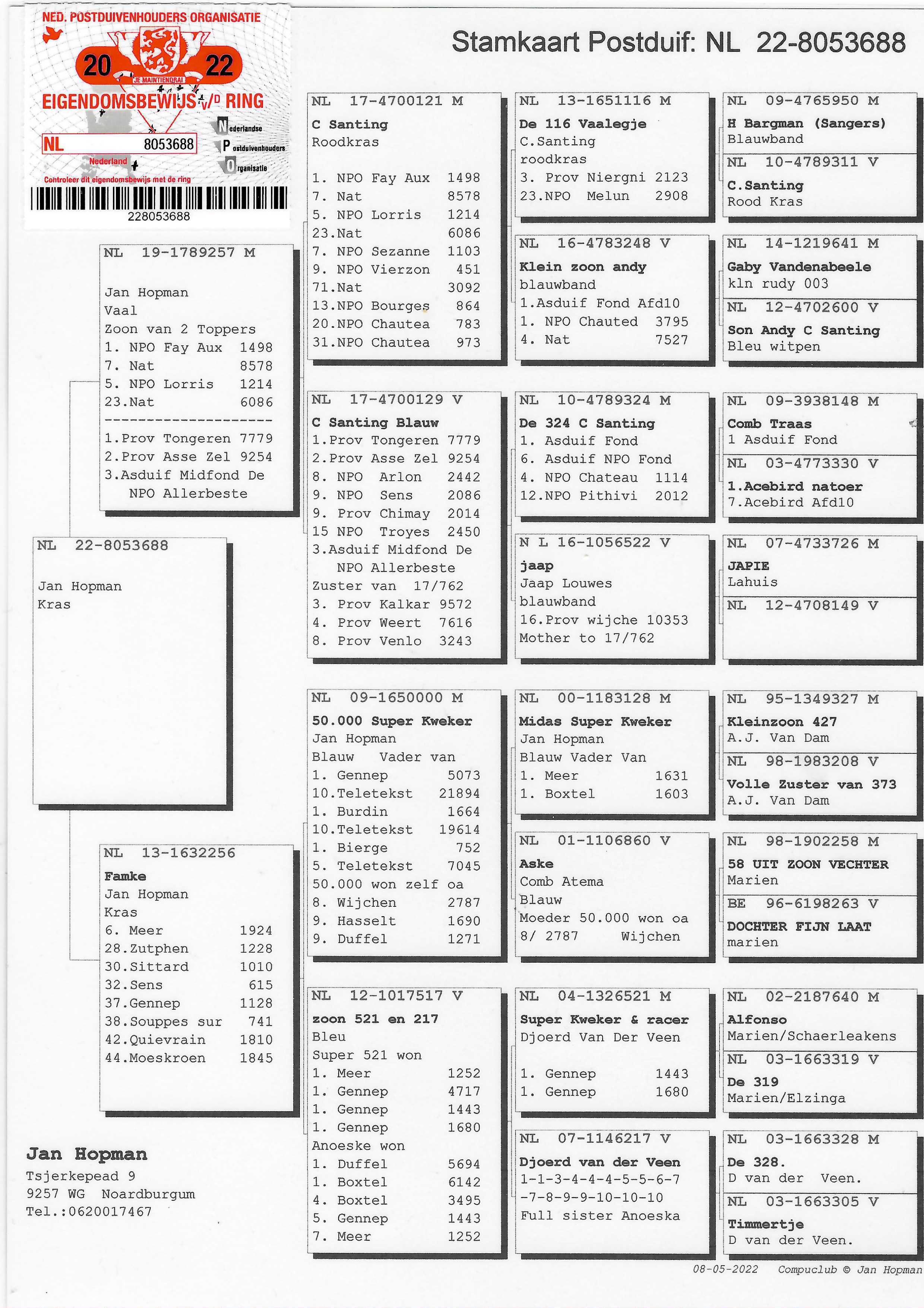 Pigeon pedigree image