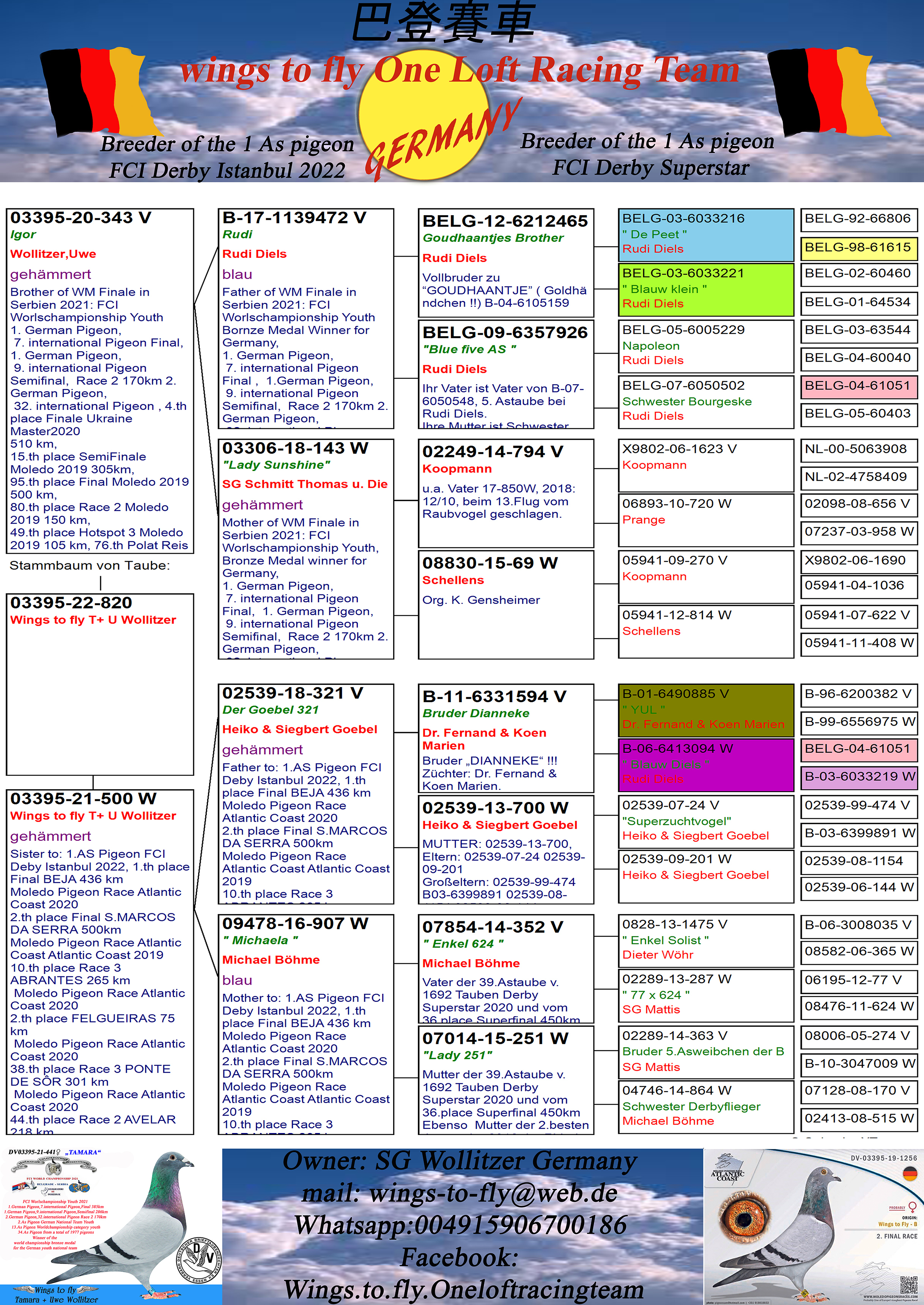 Pigeon pedigree image