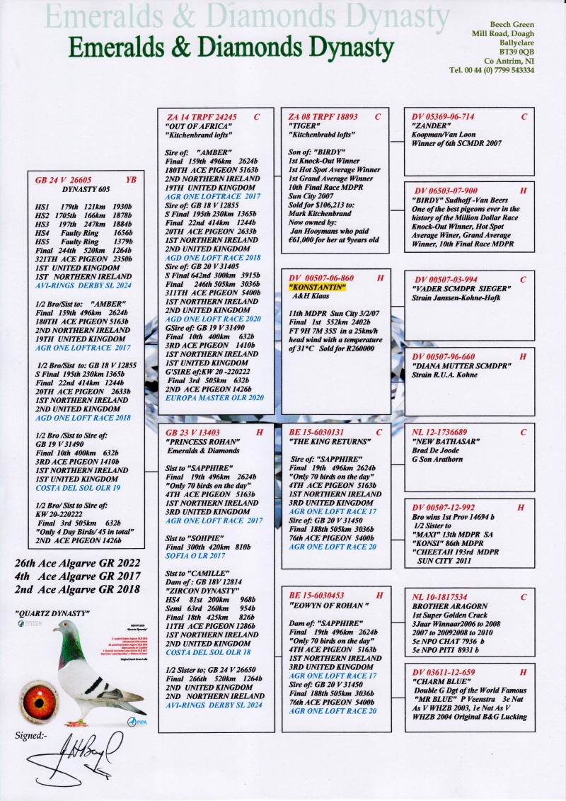 Pigeon pedigree image