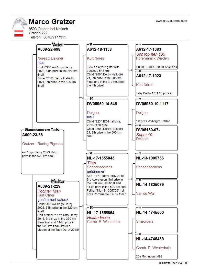 Pigeon pedigree image