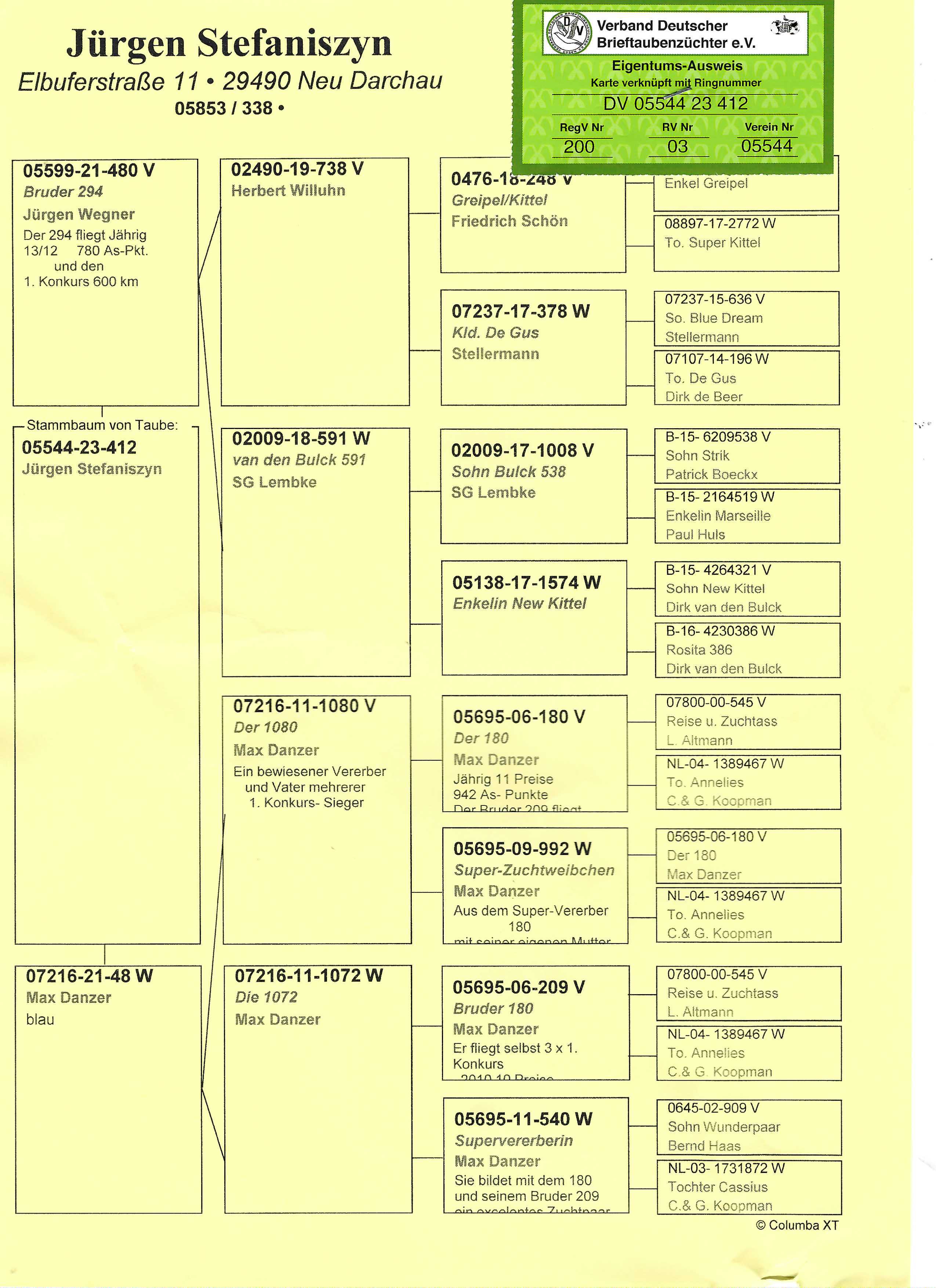 Pigeon pedigree image