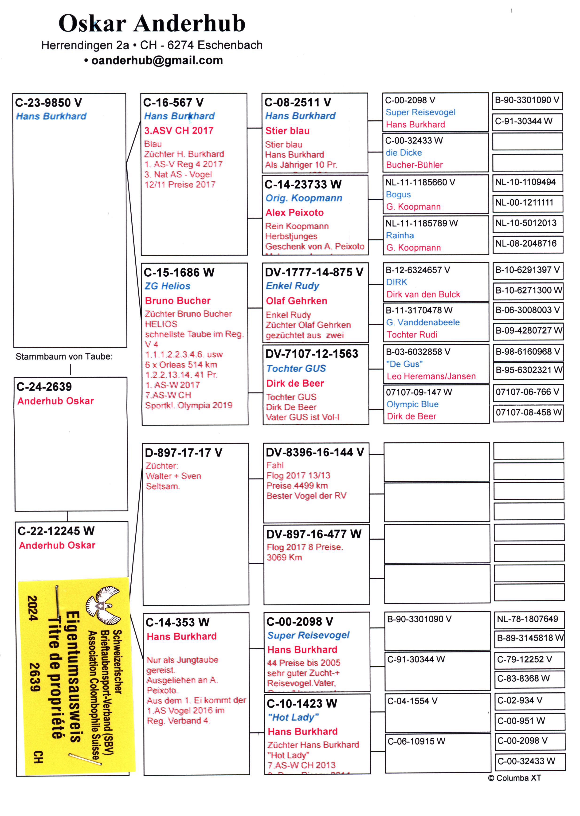 Pigeon pedigree image