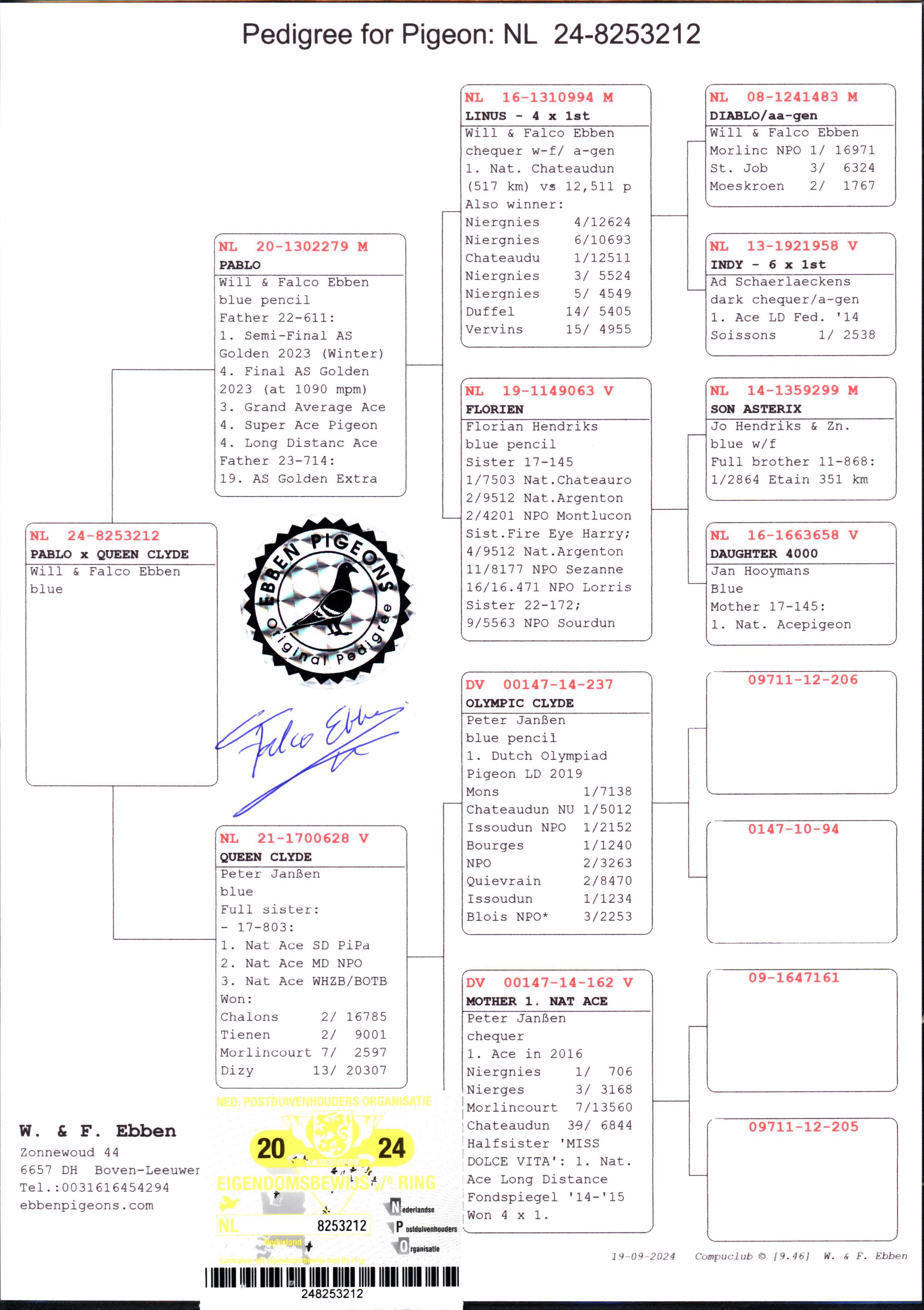 Pigeon pedigree image