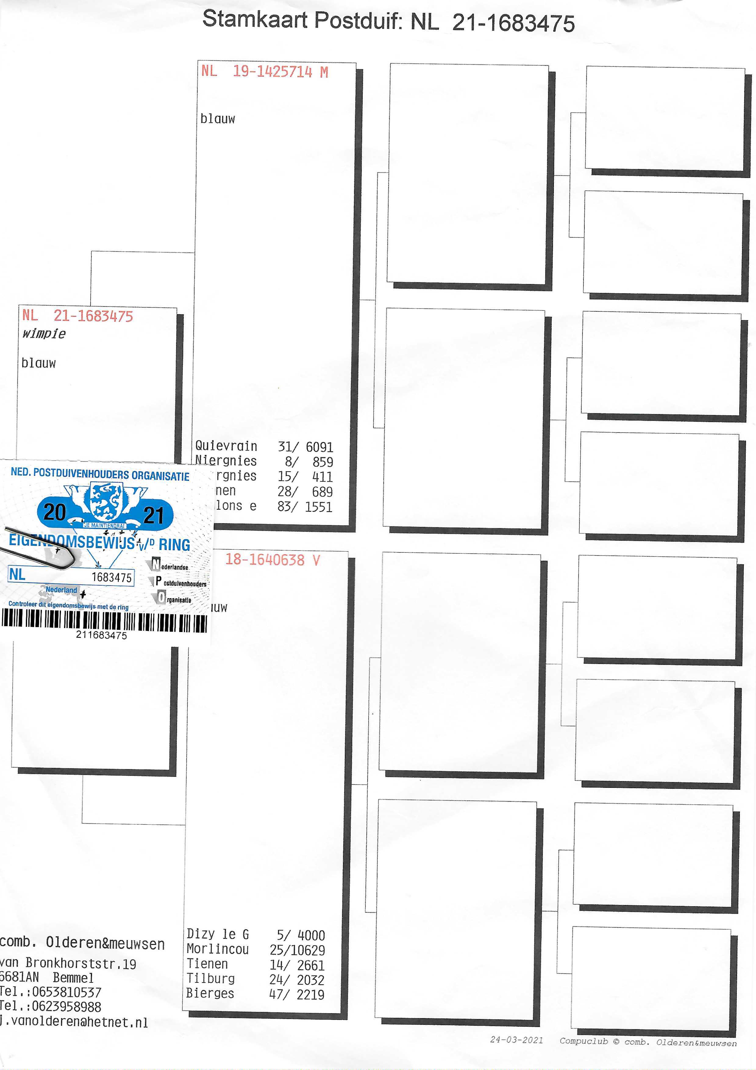 Pigeon pedigree image
