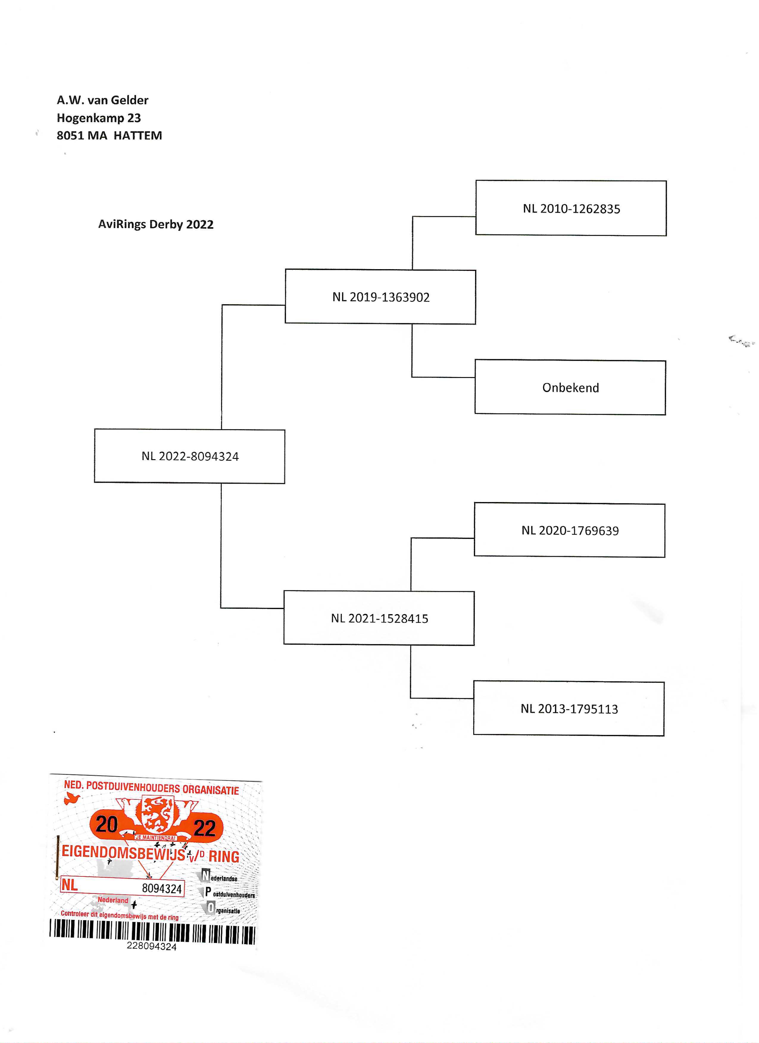 Pigeon pedigree image