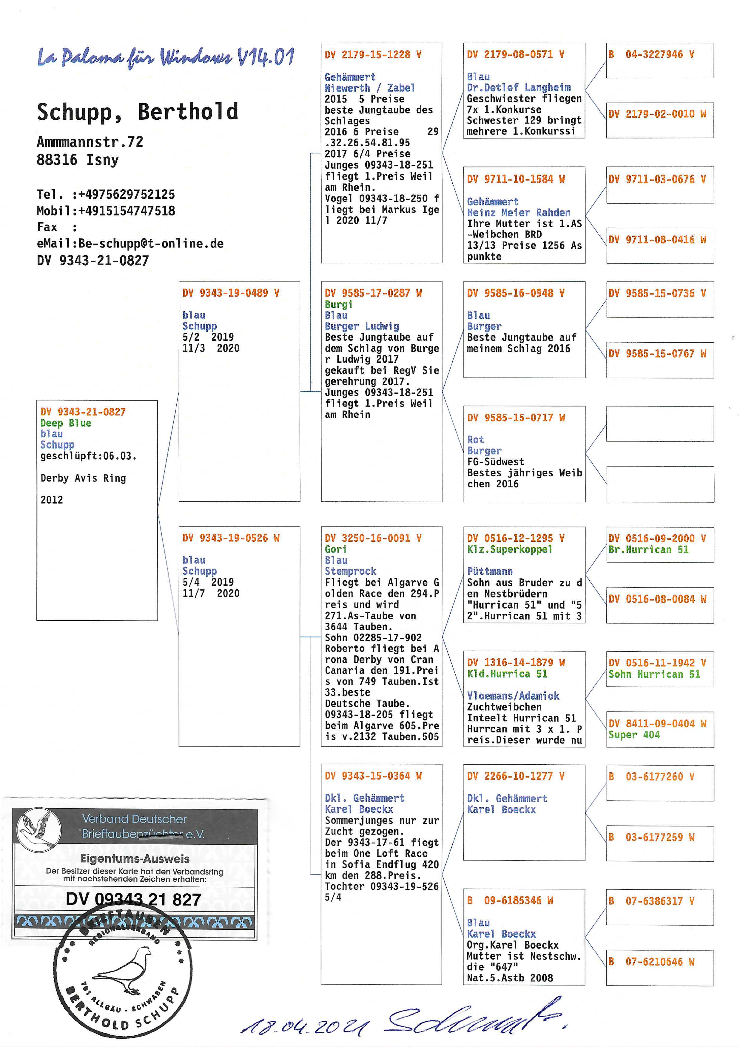 Pigeon pedigree image