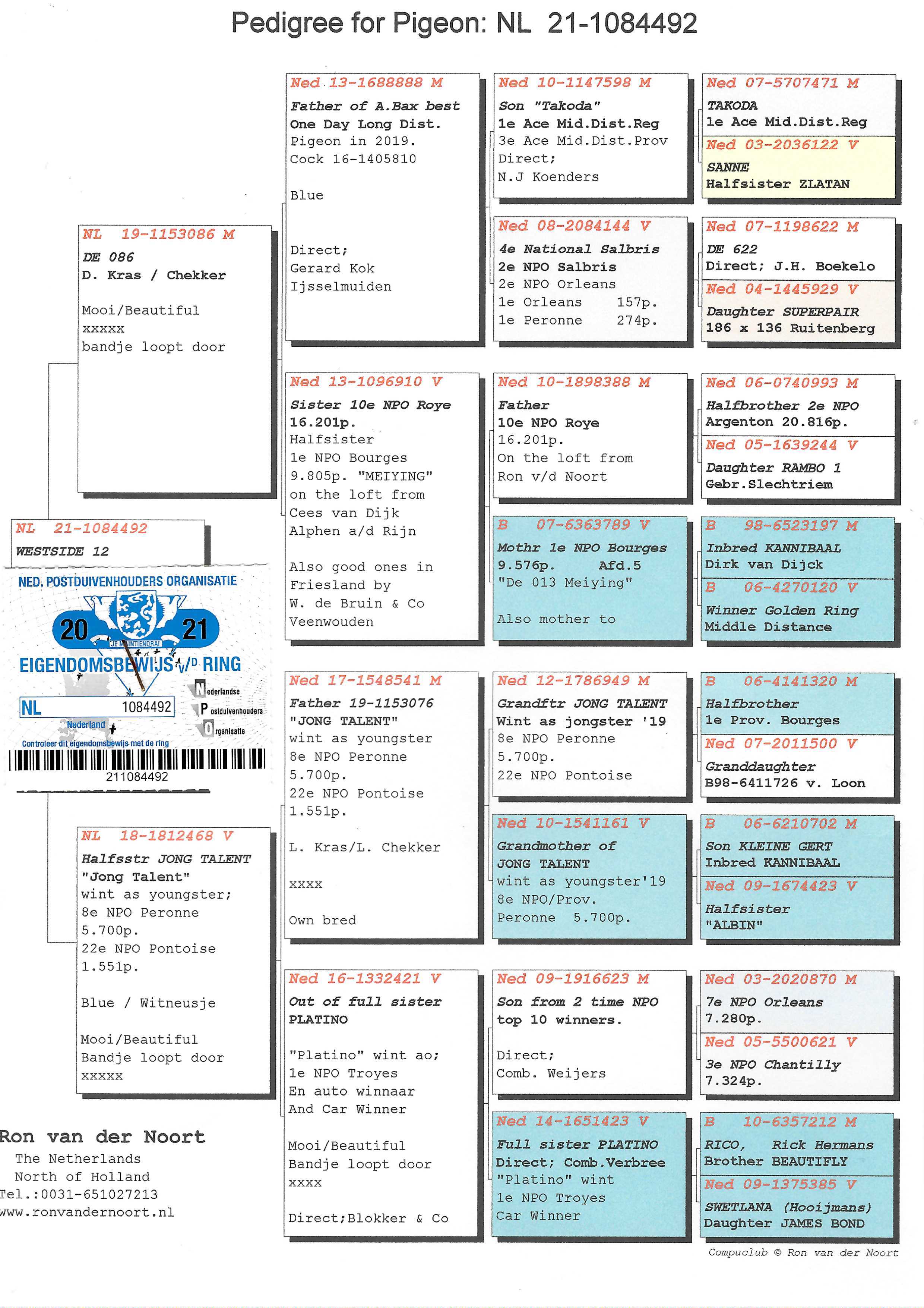 Pigeon pedigree image