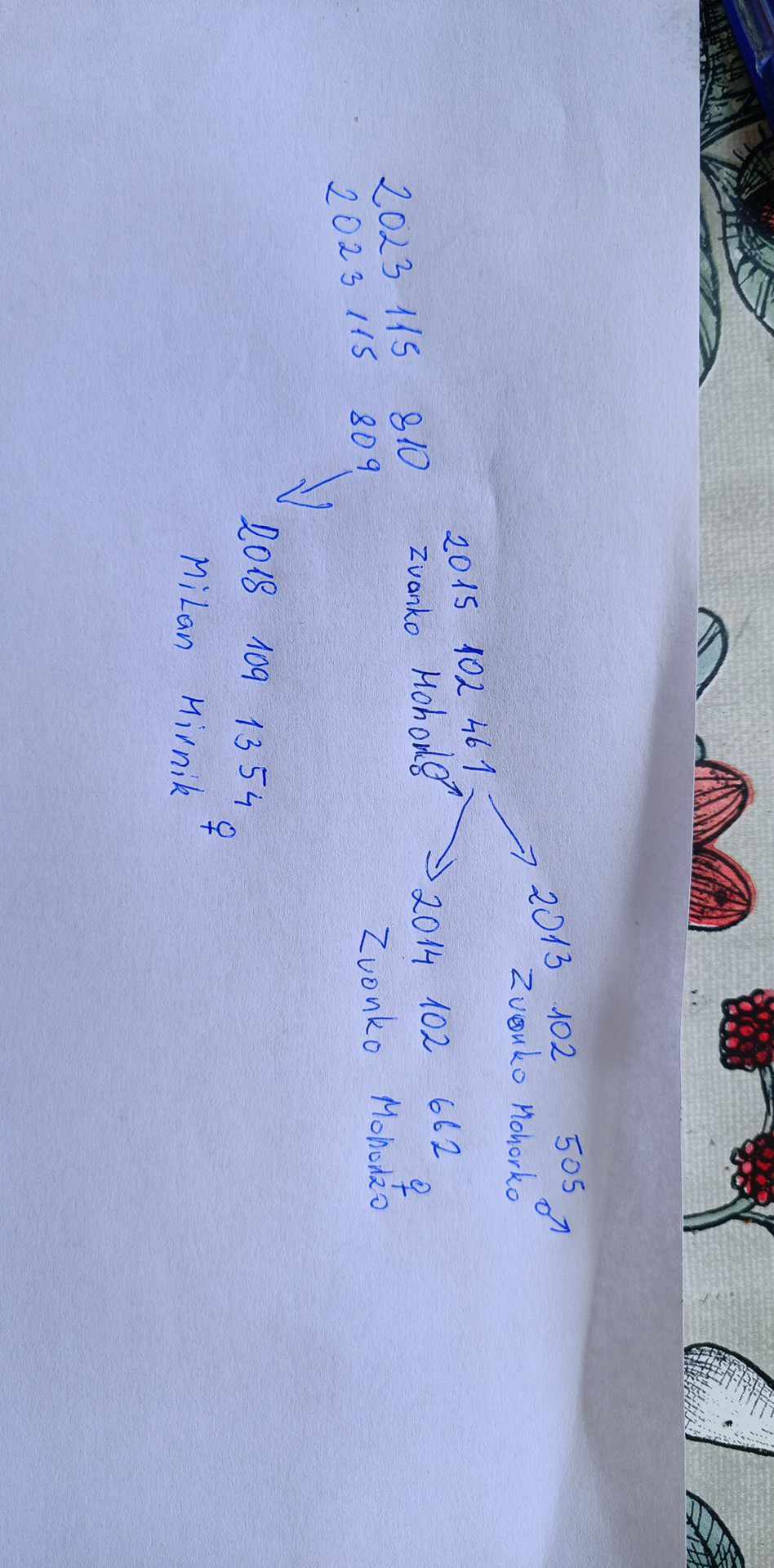 Pigeon pedigree image