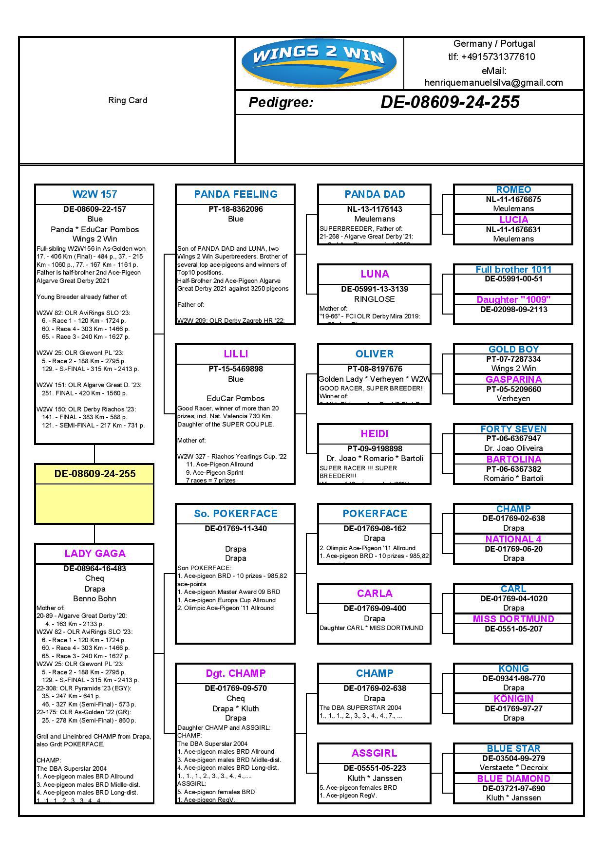Pigeon pedigree image
