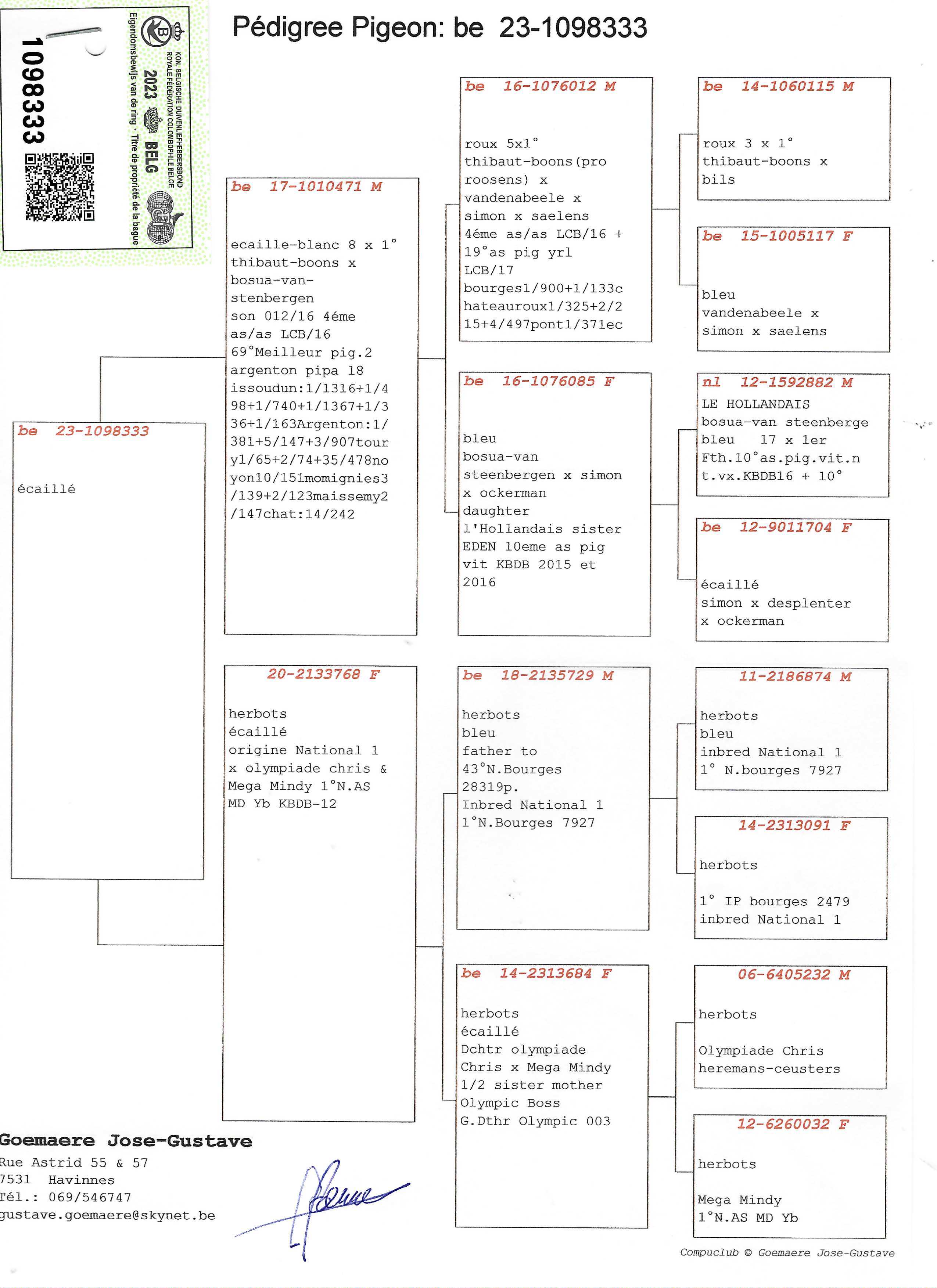 Pigeon pedigree image