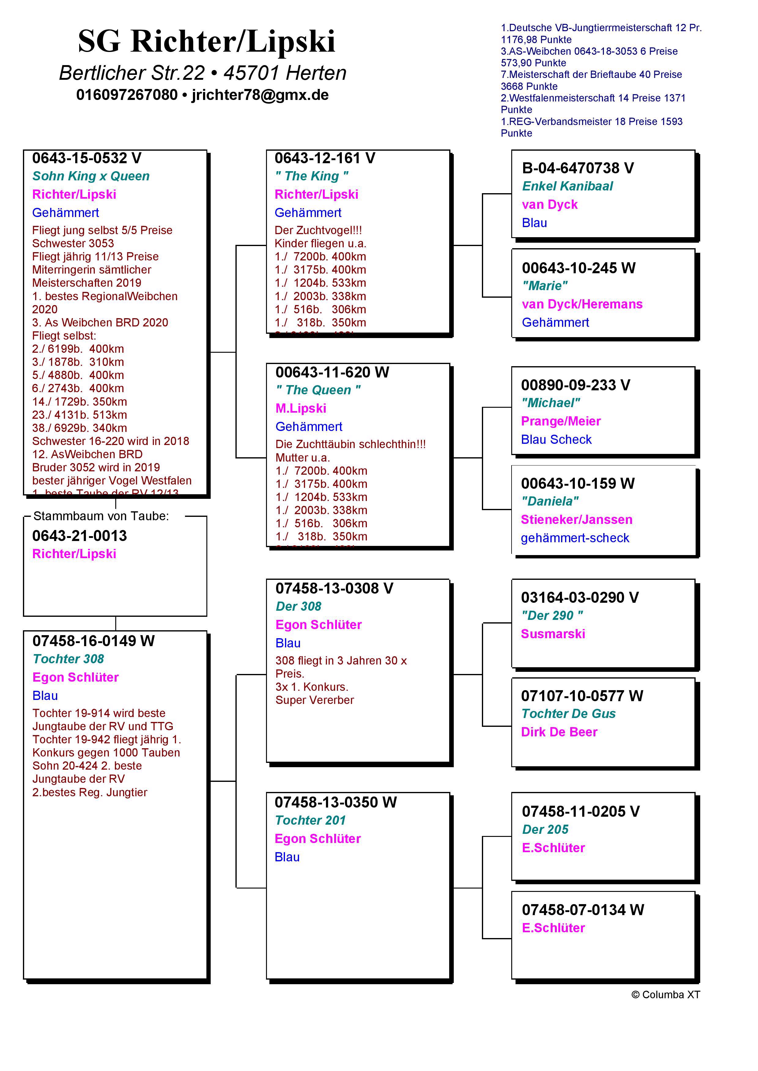 Pigeon pedigree image
