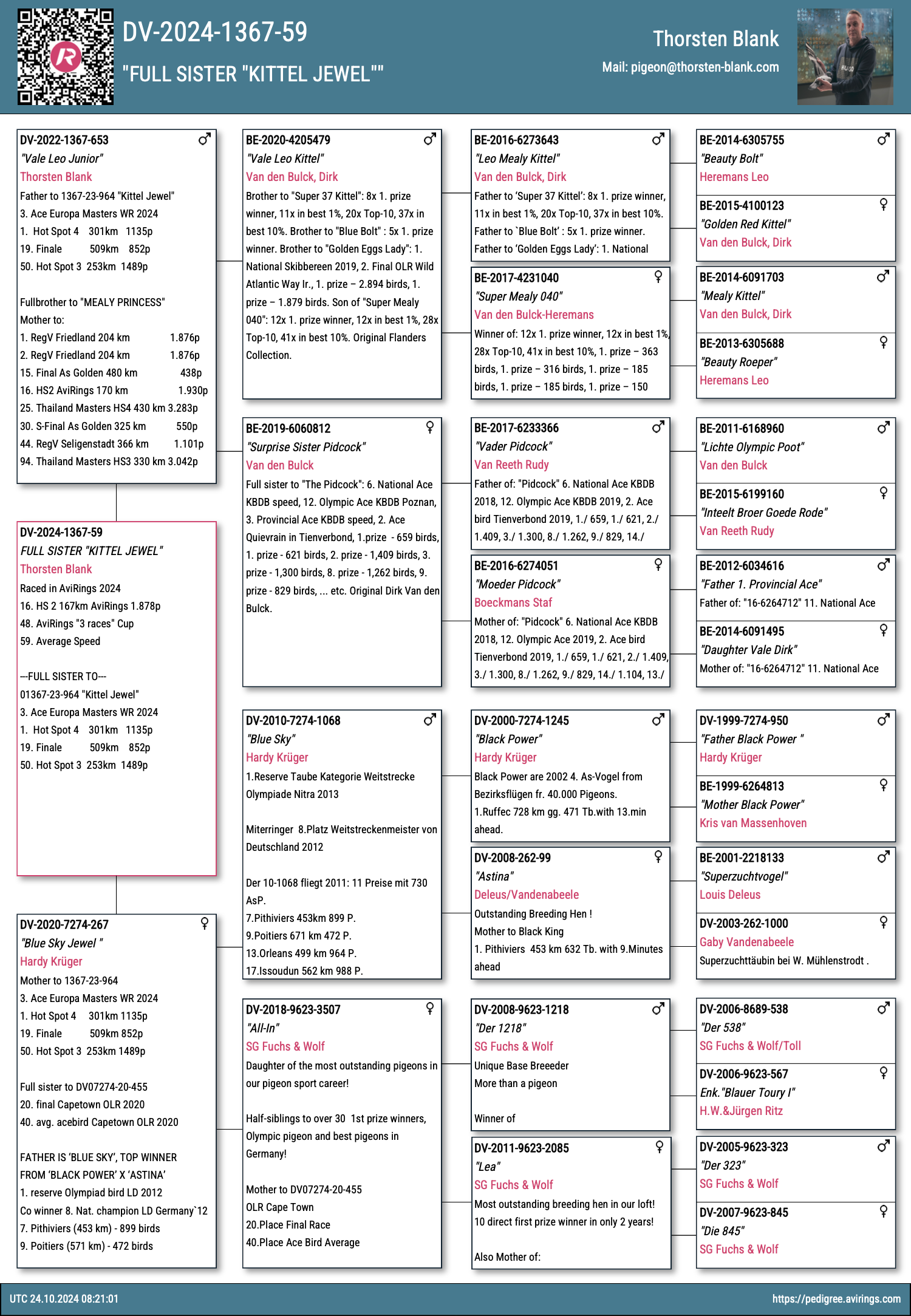 Pigeon pedigree image