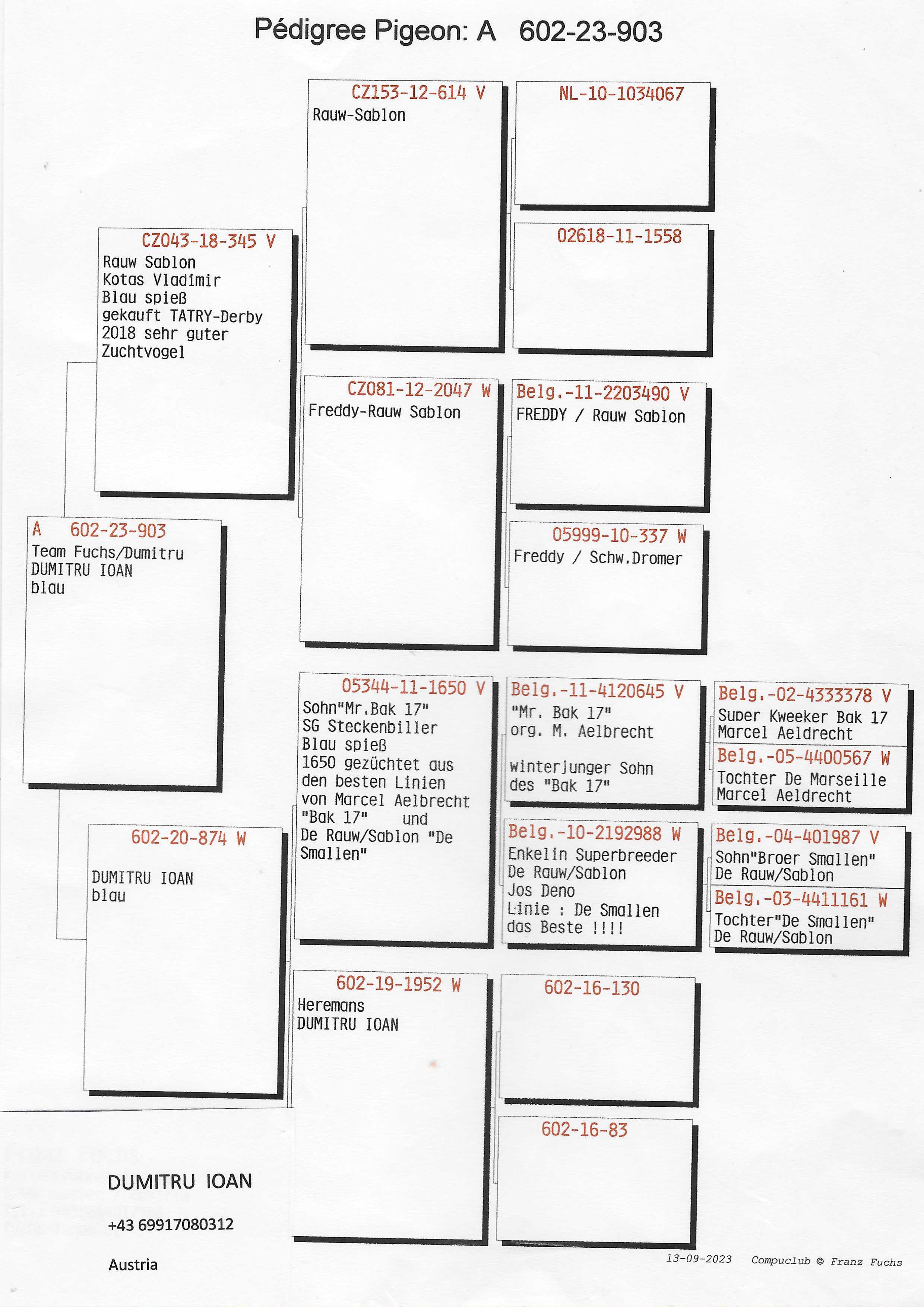 Pigeon pedigree image