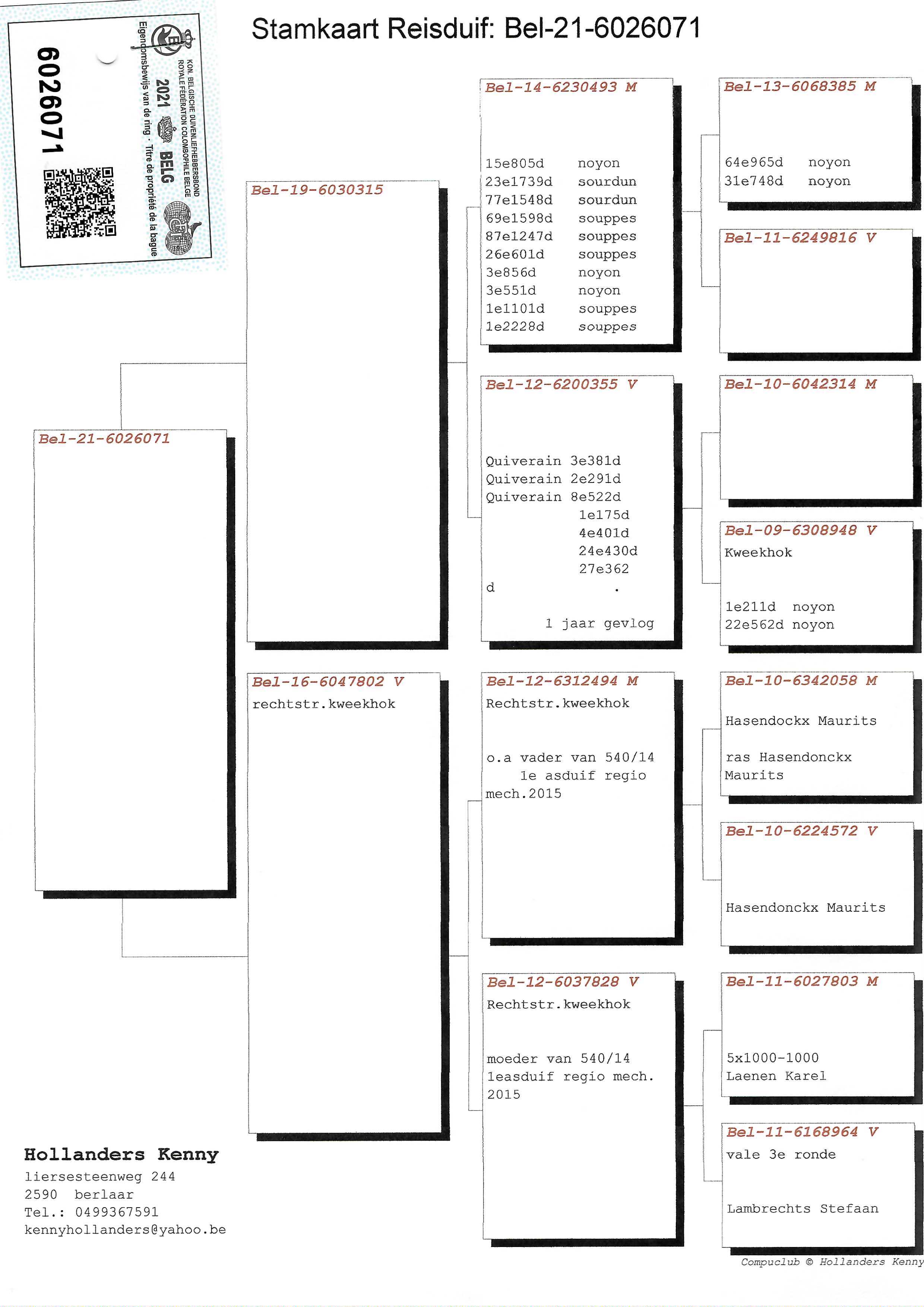 Pigeon pedigree image