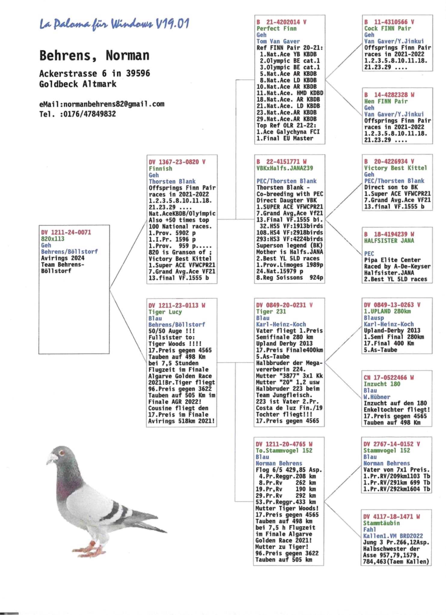Pigeon pedigree image
