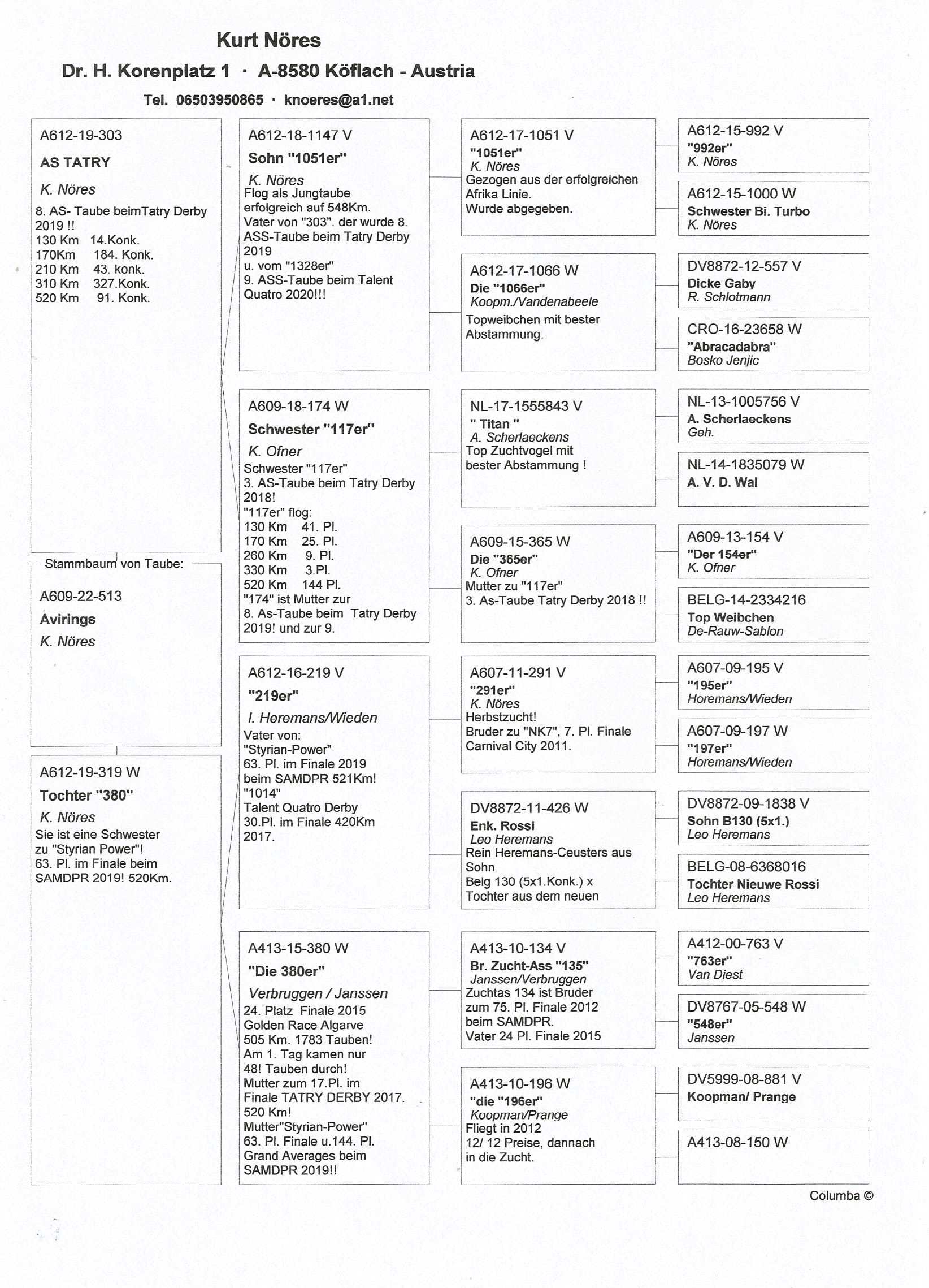 Pigeon pedigree image