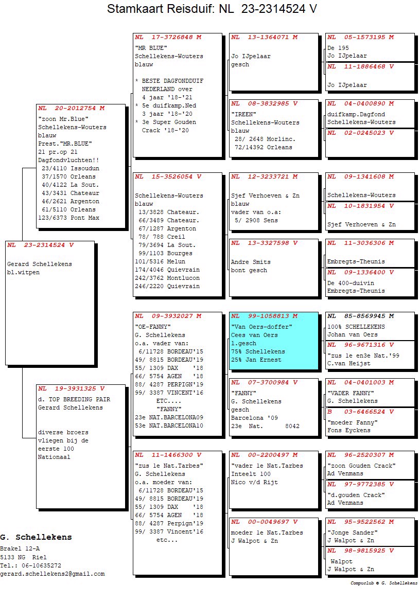 Pigeon pedigree image