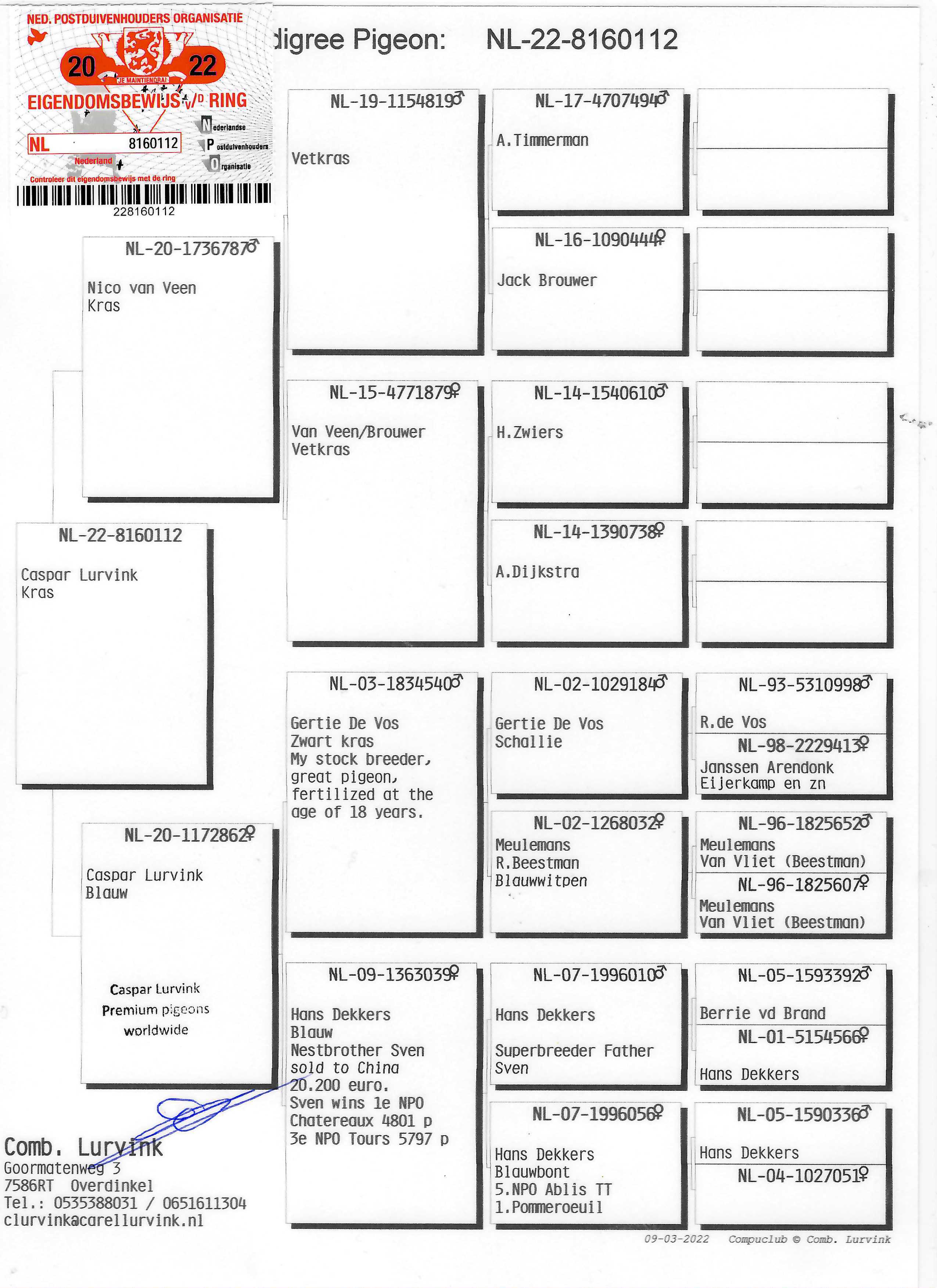 Pigeon pedigree image