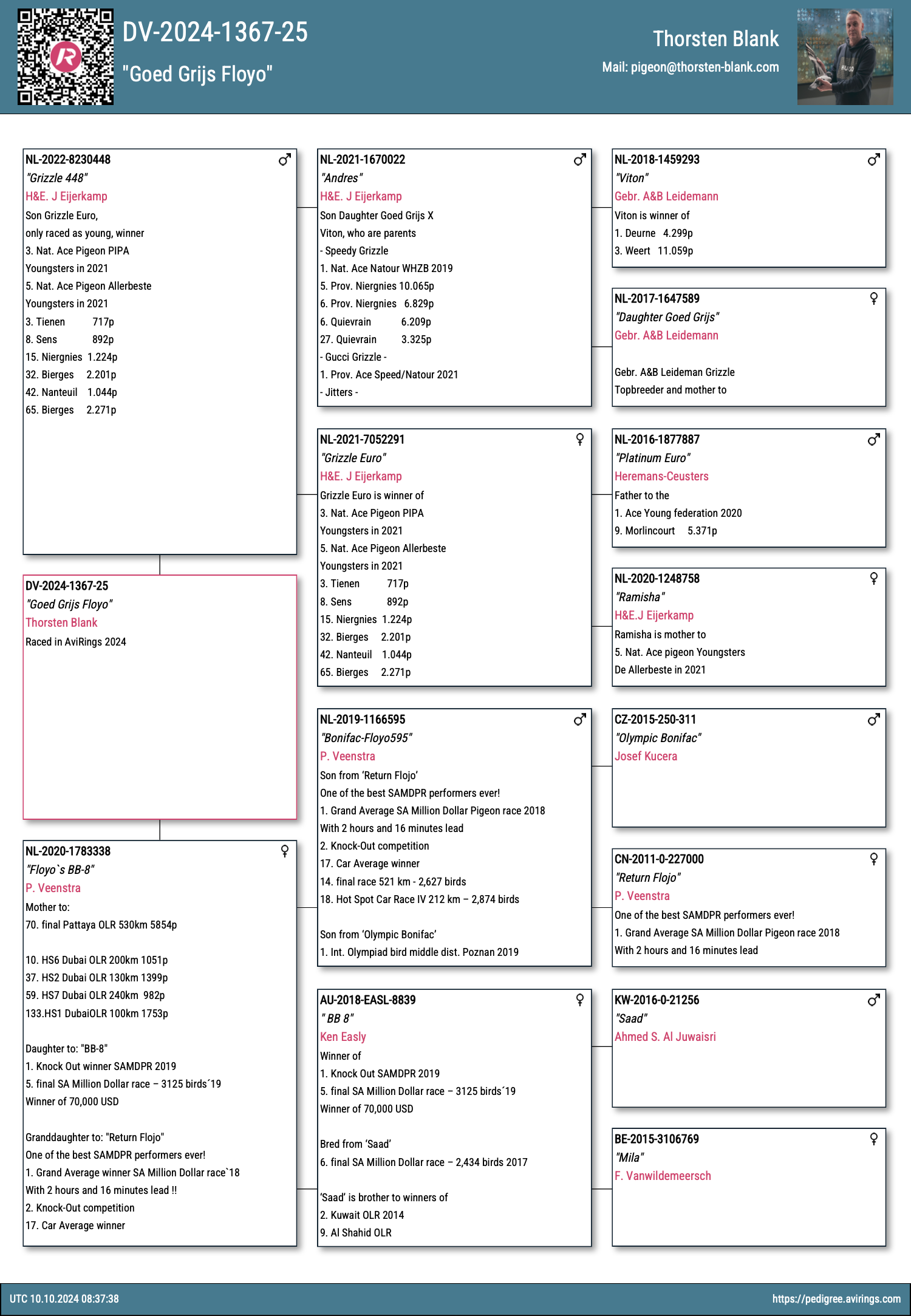 Pigeon pedigree image