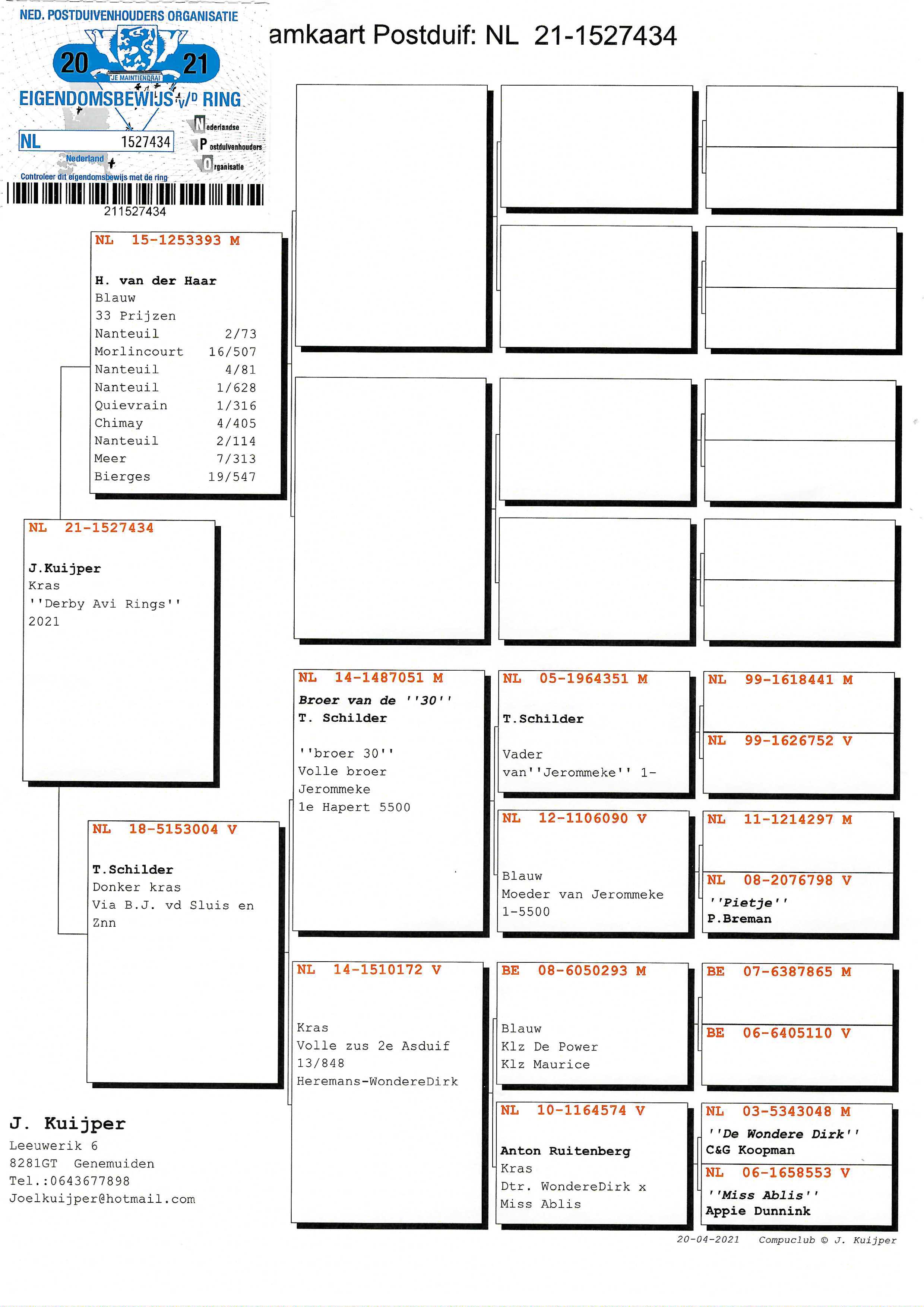 Pigeon pedigree image