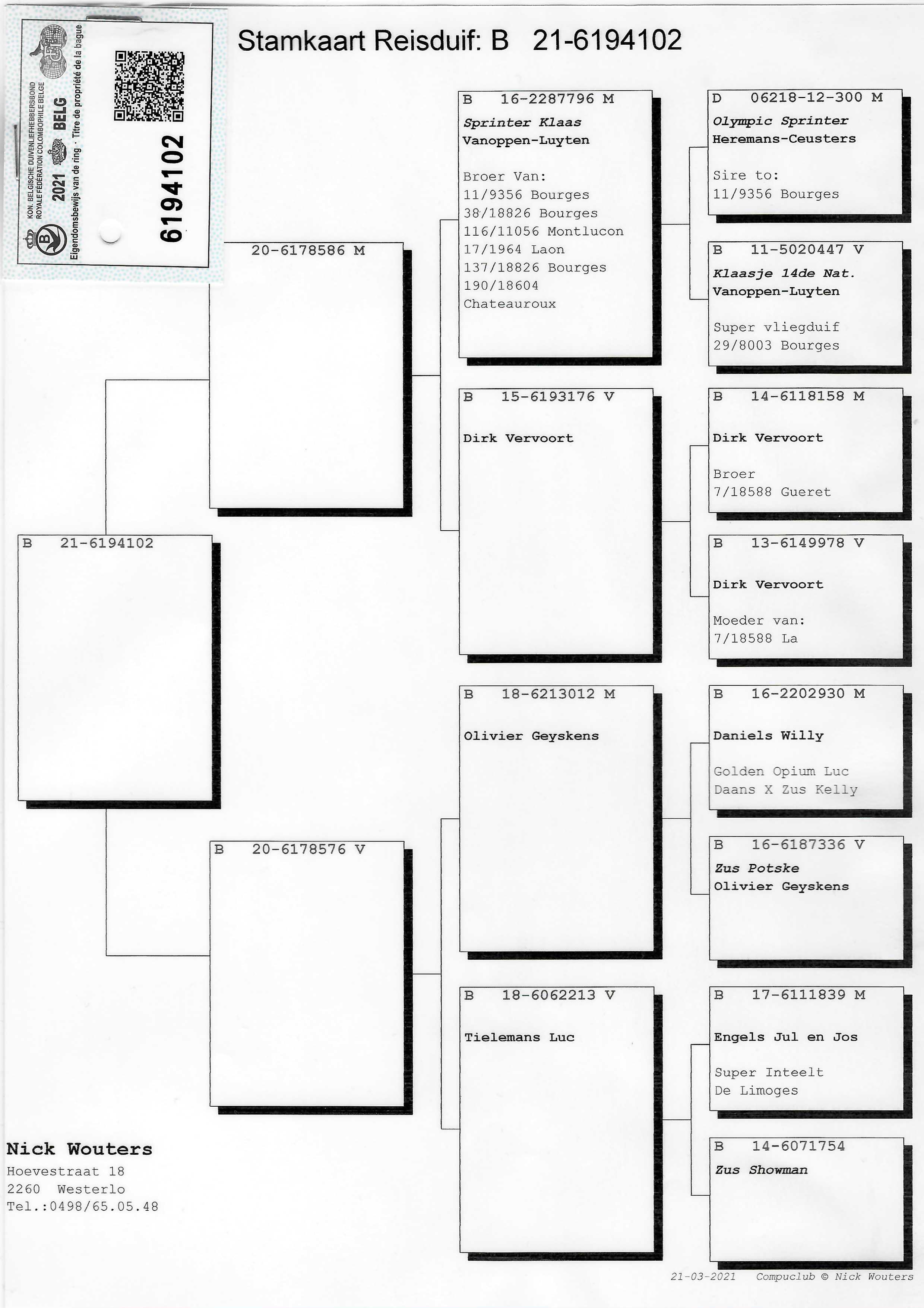 Pigeon pedigree image