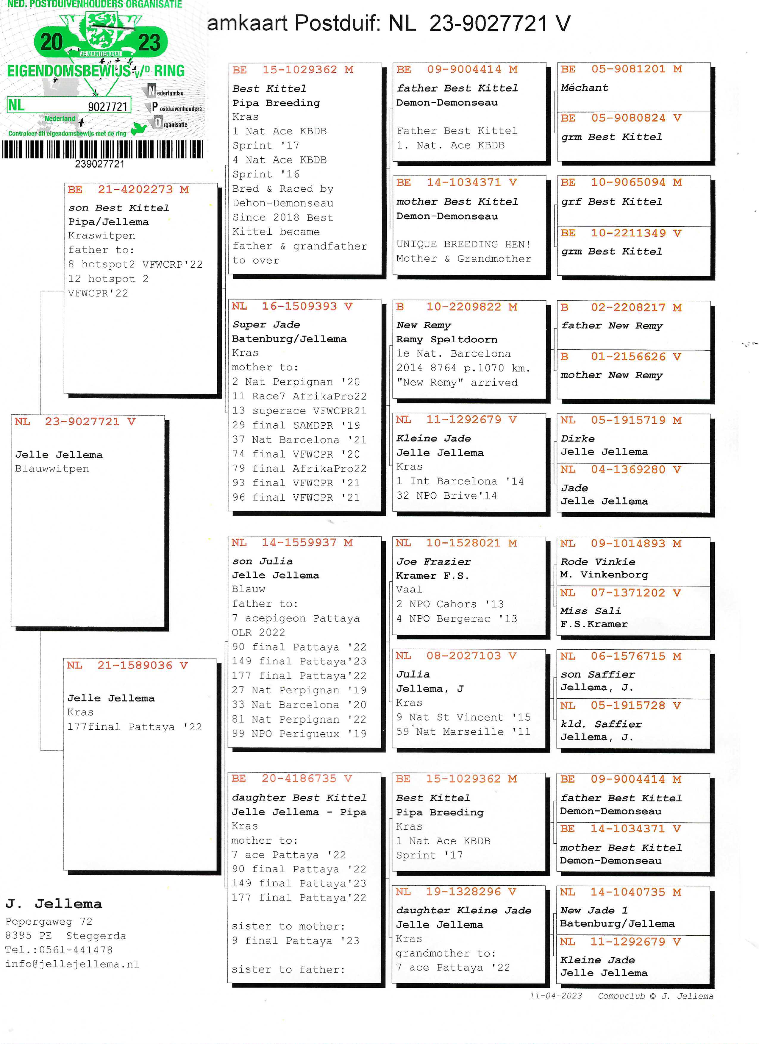 Pigeon pedigree image