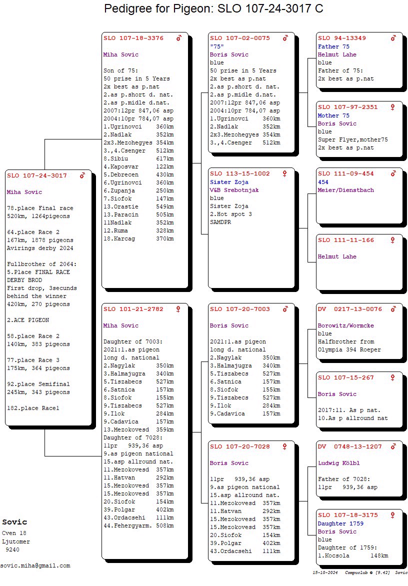 Pigeon pedigree image