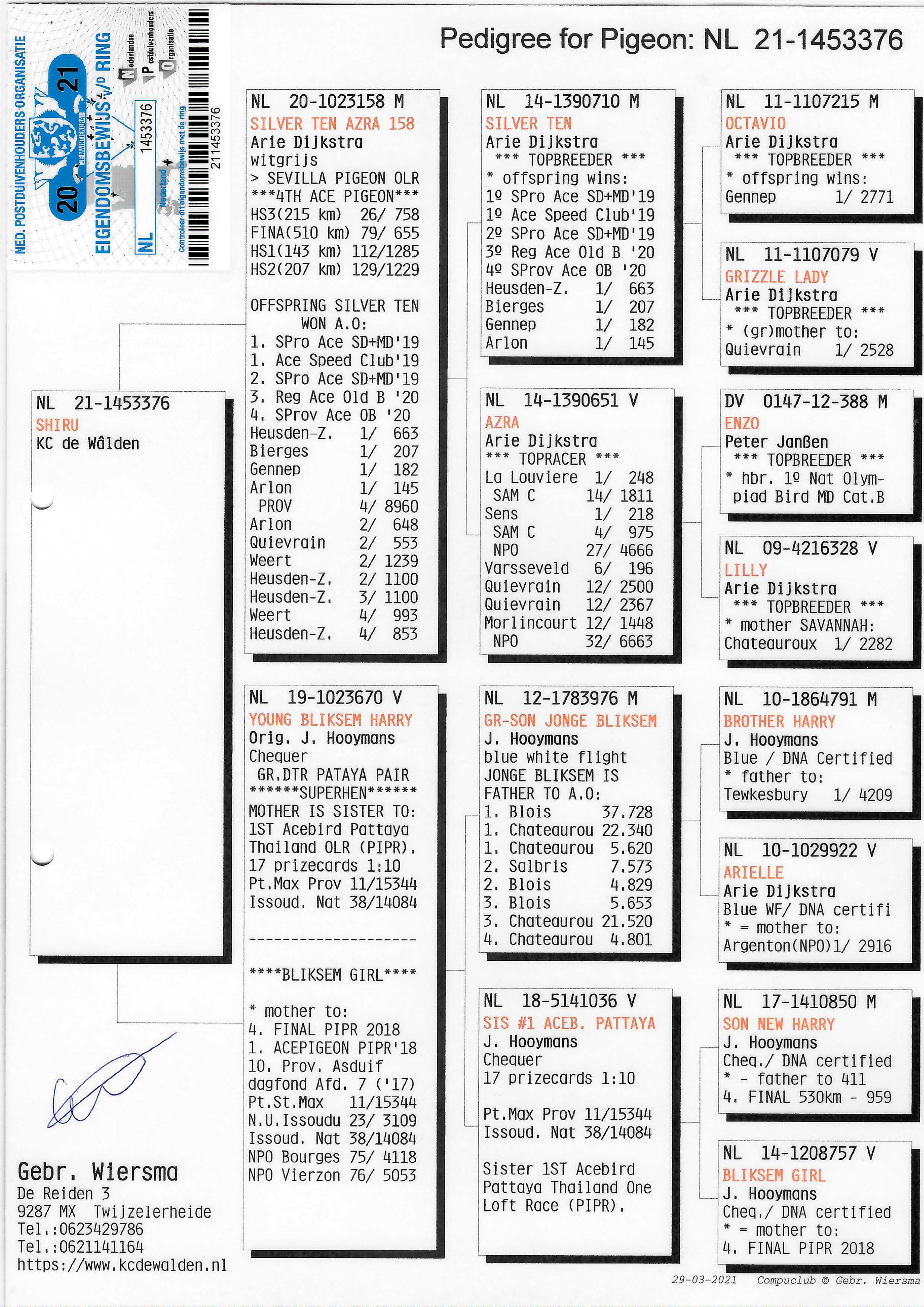 Pigeon pedigree image