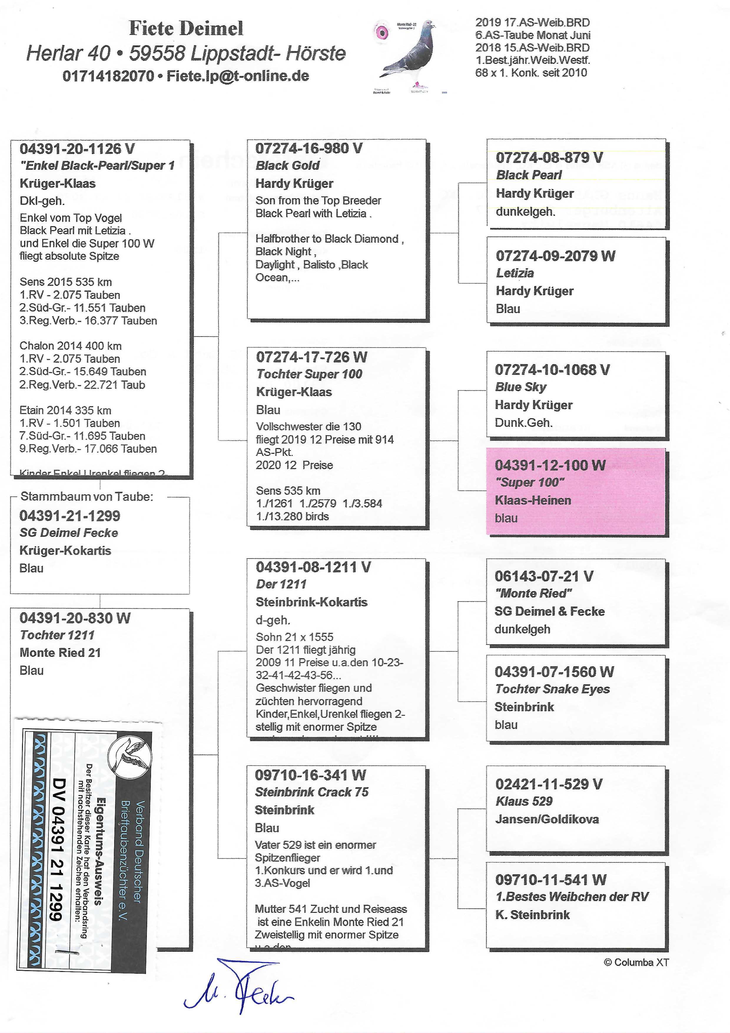 Pigeon pedigree image