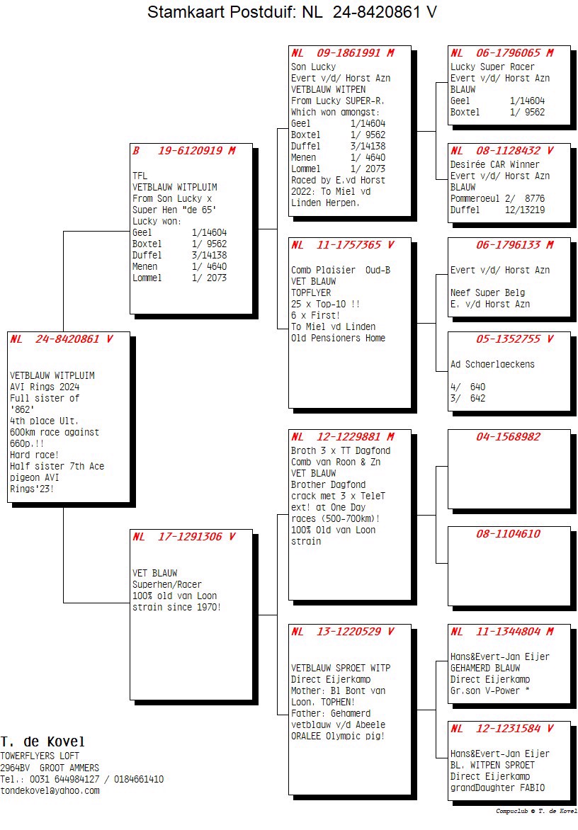 Pigeon pedigree image