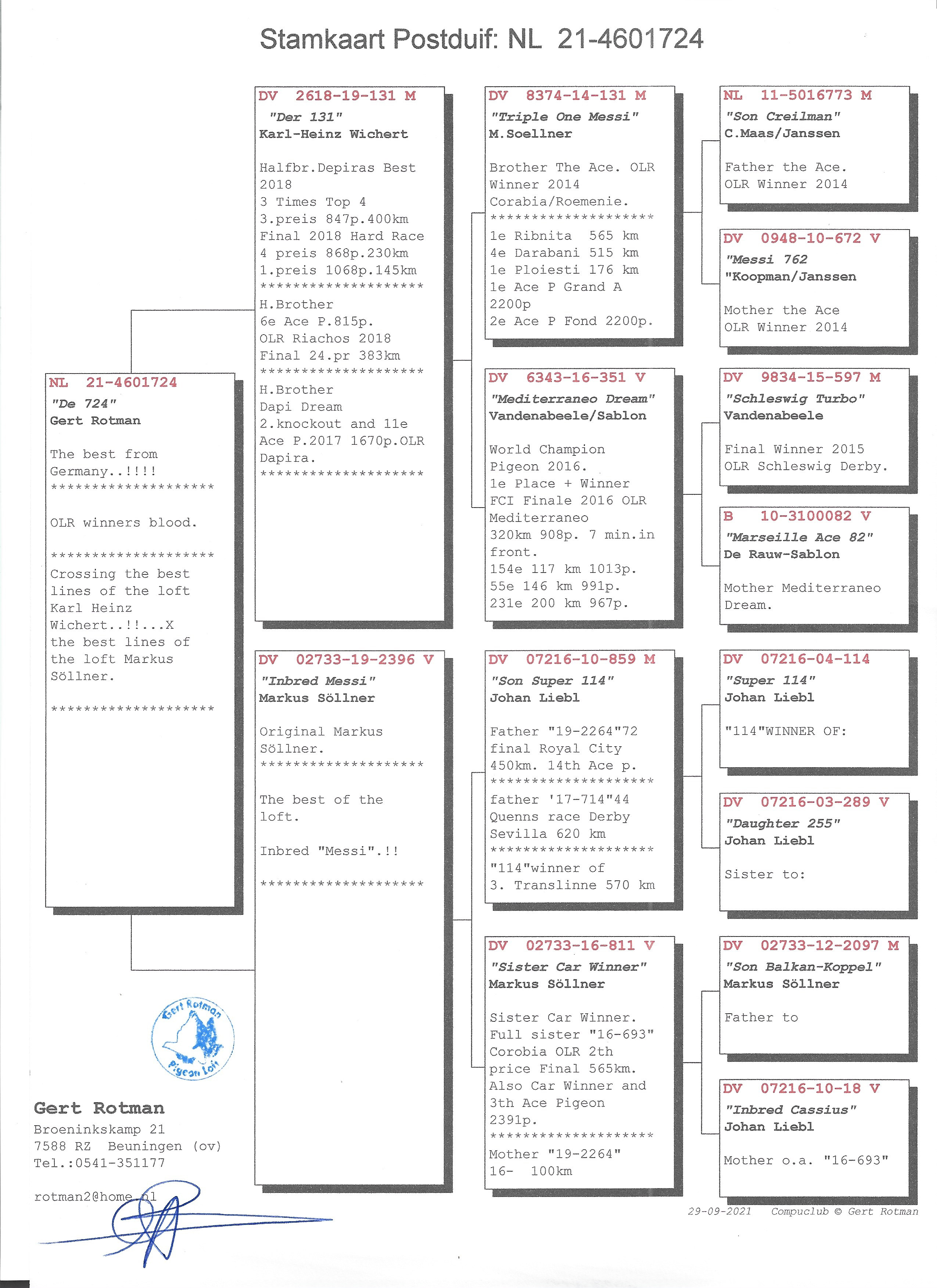 Pigeon pedigree image